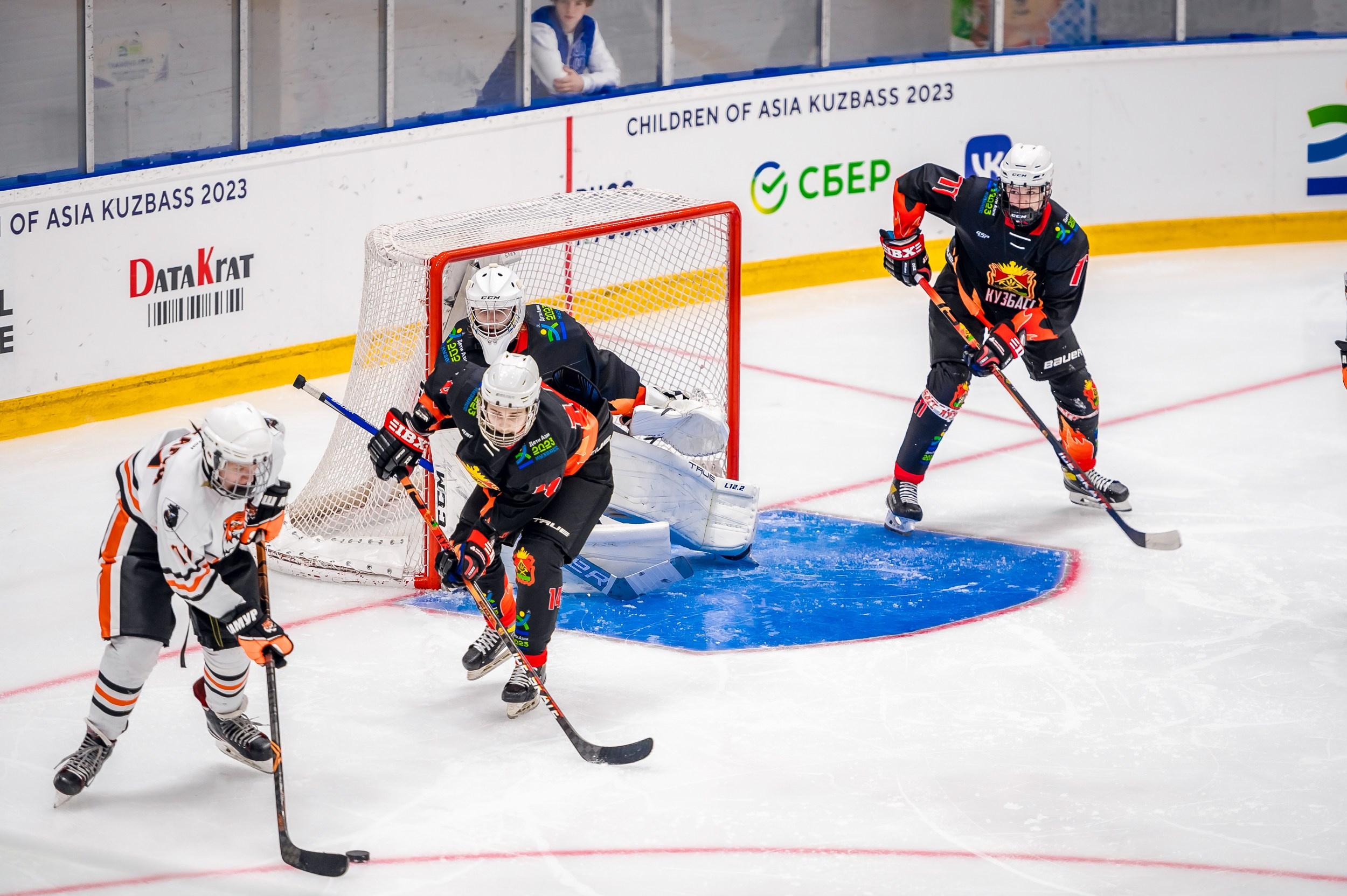 Кузбасс-ДФО. ProfotoNK