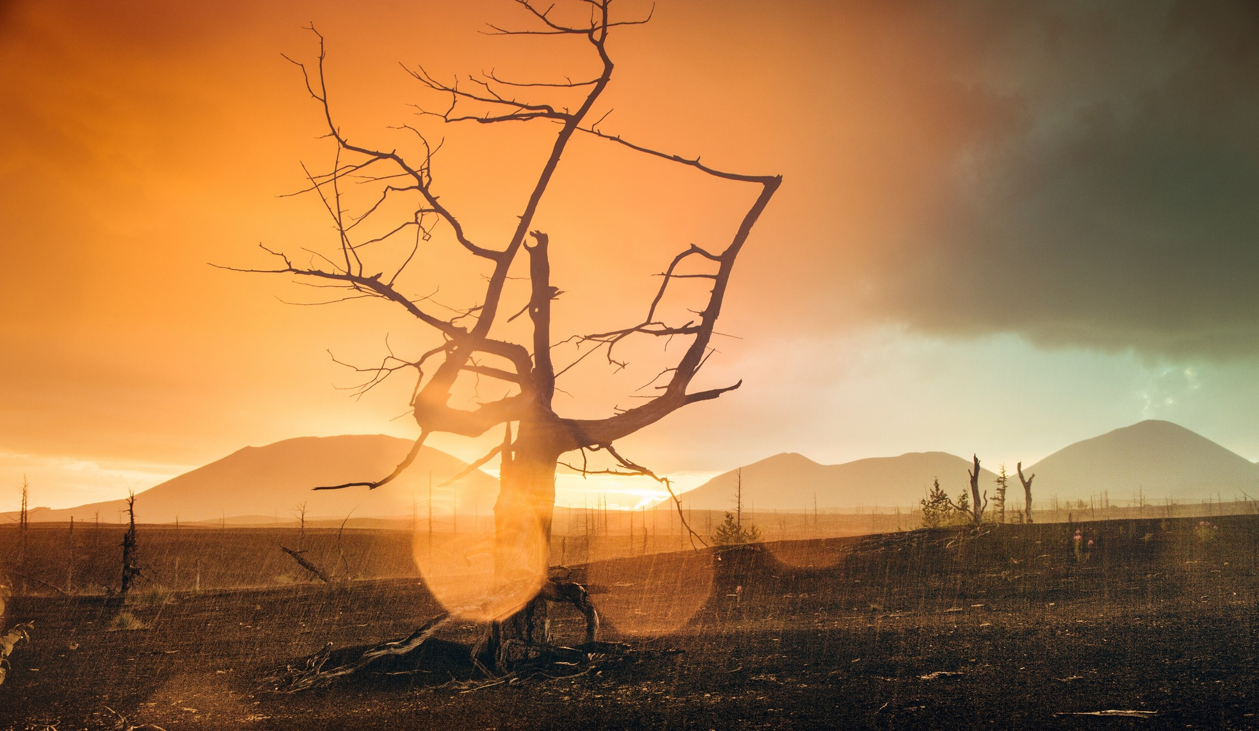 Камчатка. Фотограф Владимир Медведев