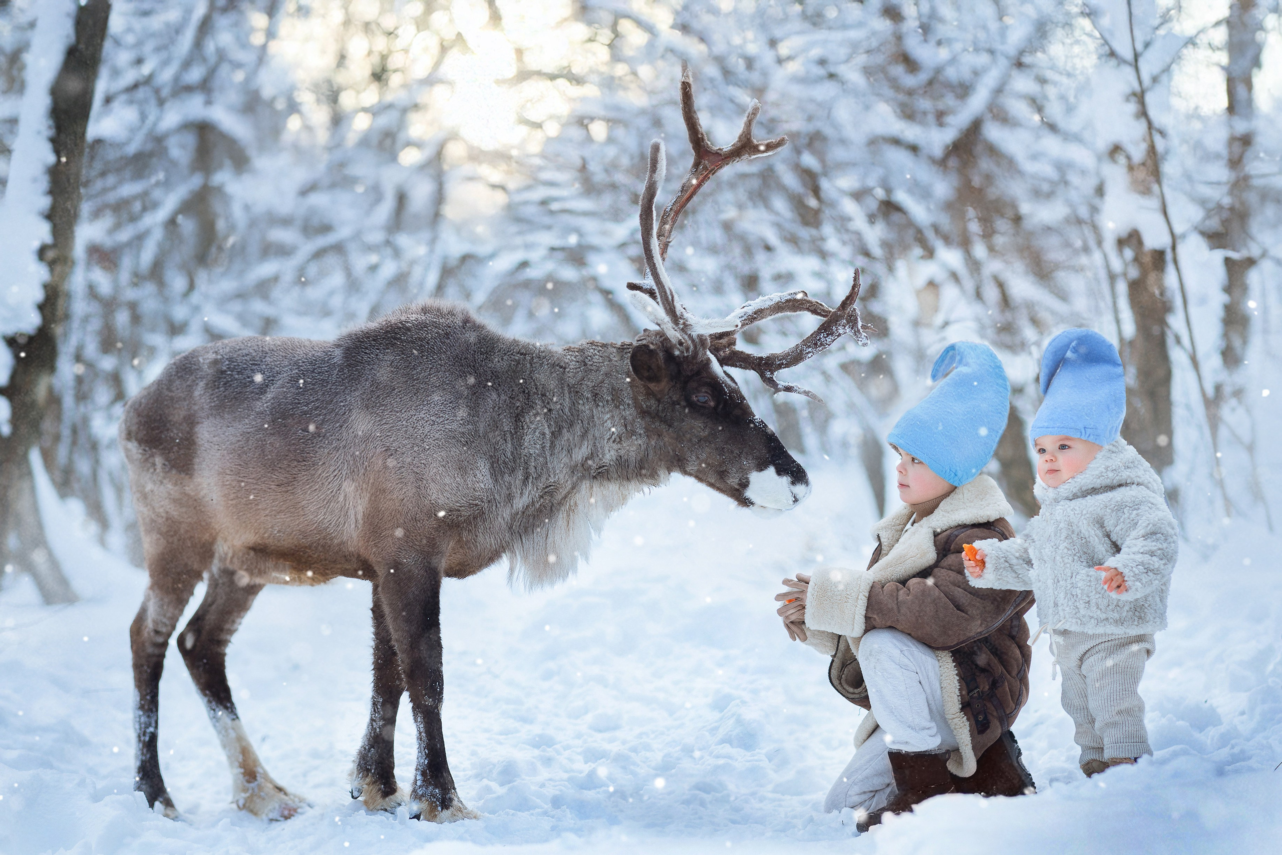 Фотосессии с оленями. Фотограф Лия Милк | Москва, Подмосковье