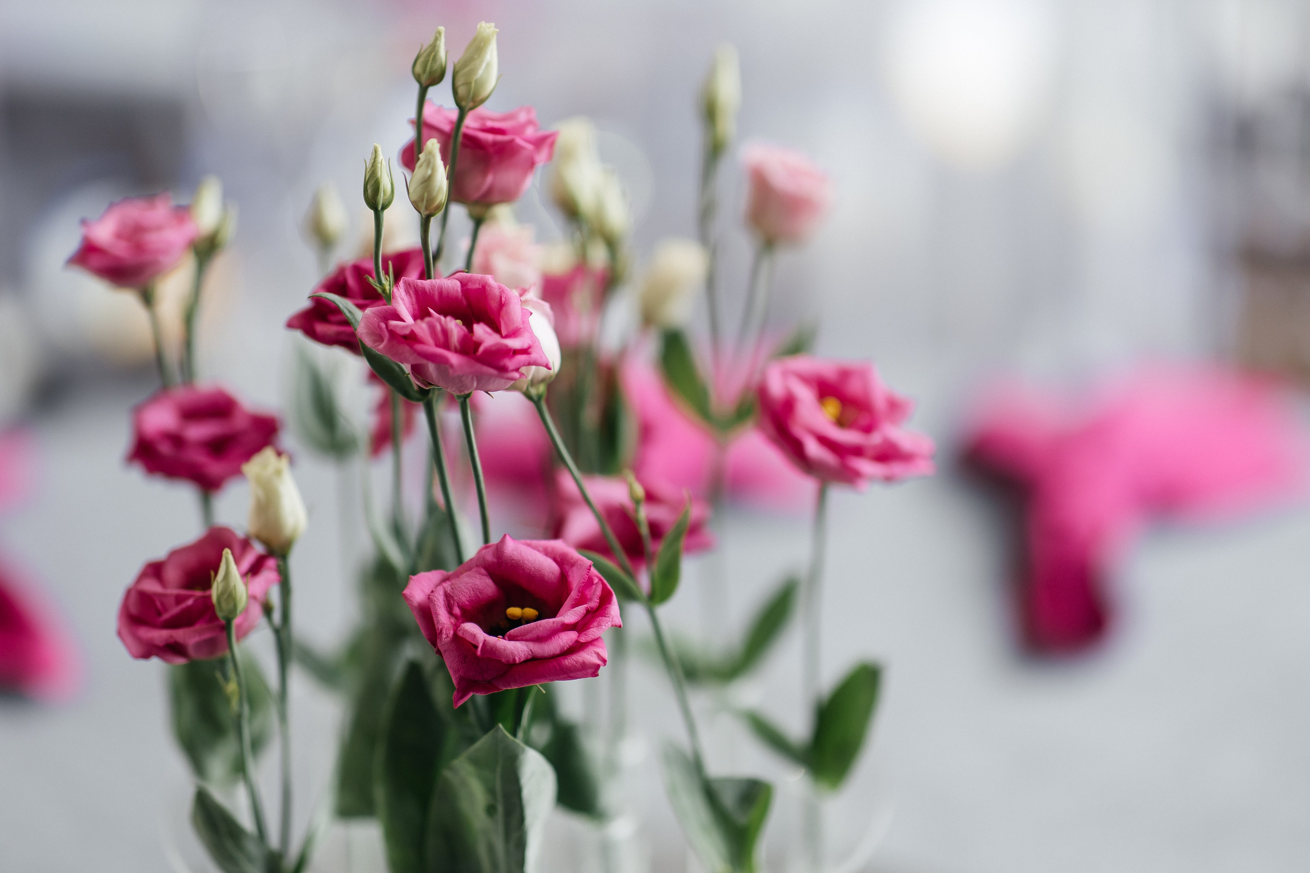 Школа Невест 2024. Свадебный и портретный фотограф Алина Иванова. Екатеринбург-Москва