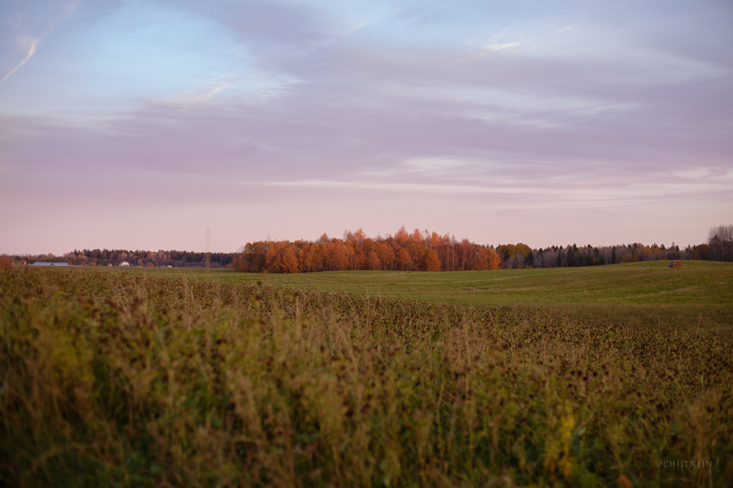 Октябрьский закат в полях. Алина и Лео. Фотограф-анималист Наталия Чистюхина в г. Сосновый Бор и ЛО