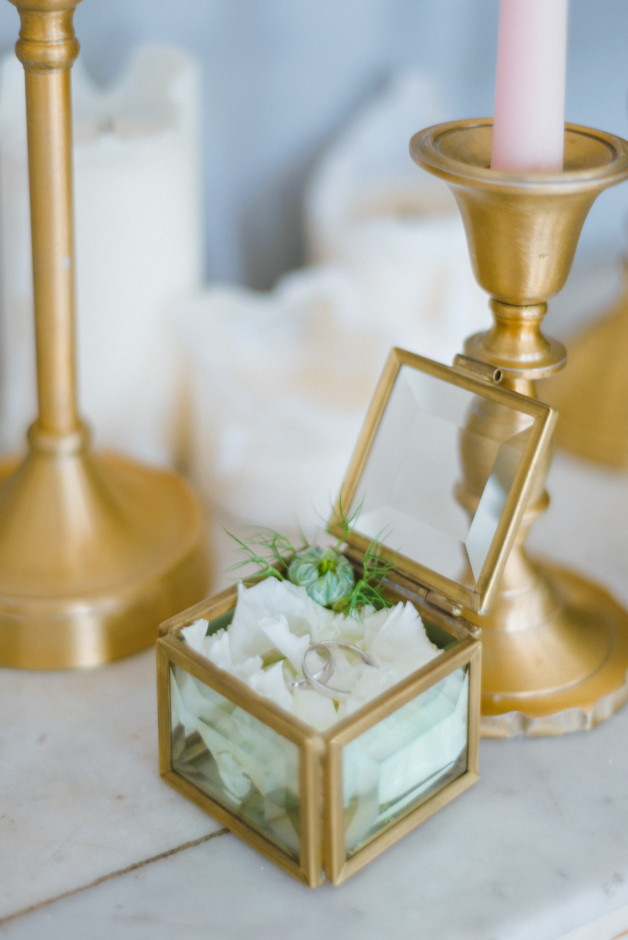 Патрик и Нина, свадьба в Петербурге. Изящная фотография | Ксения Милушкина