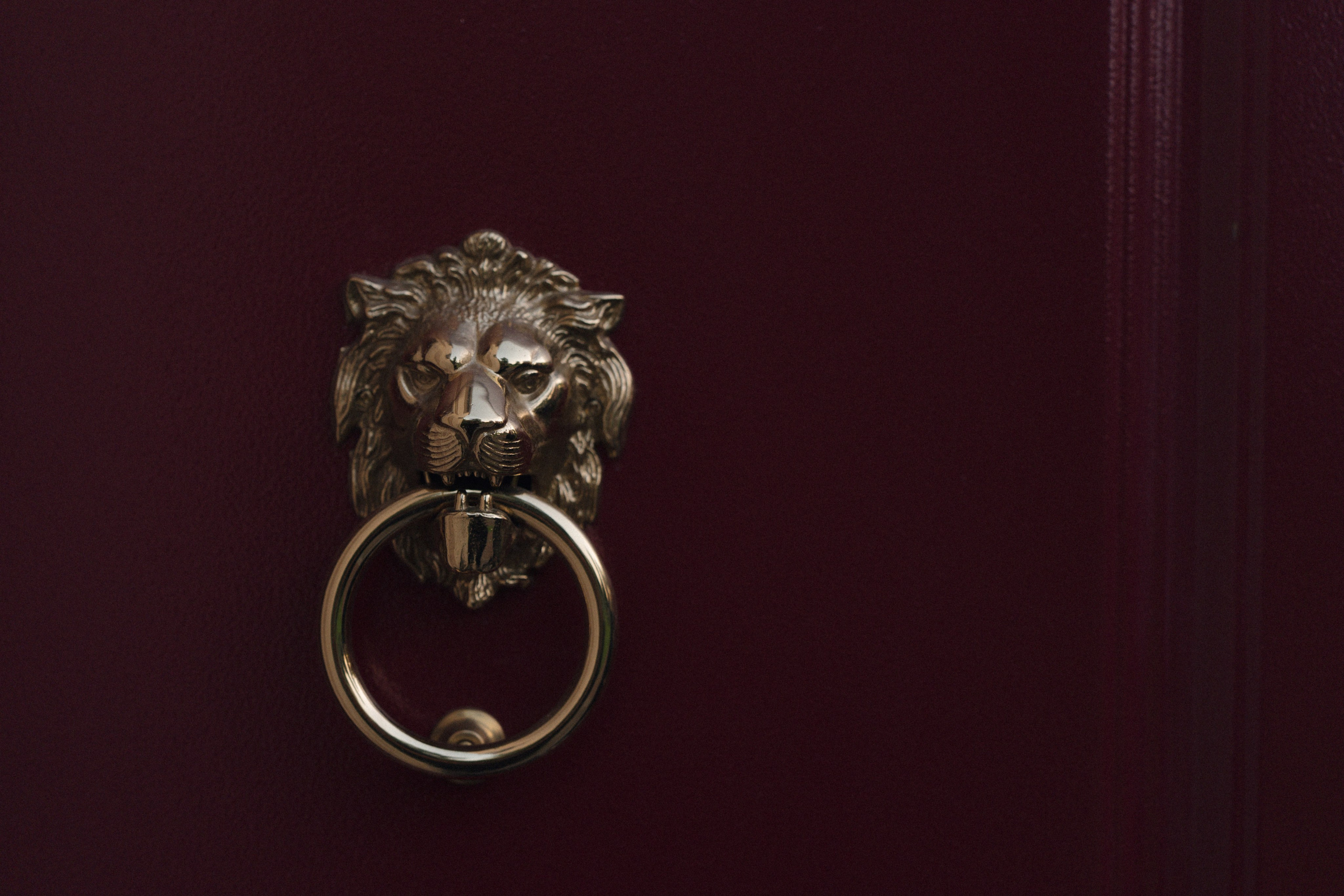 Dom. Фотограф в Санкт-Петербурге Александр Дымов