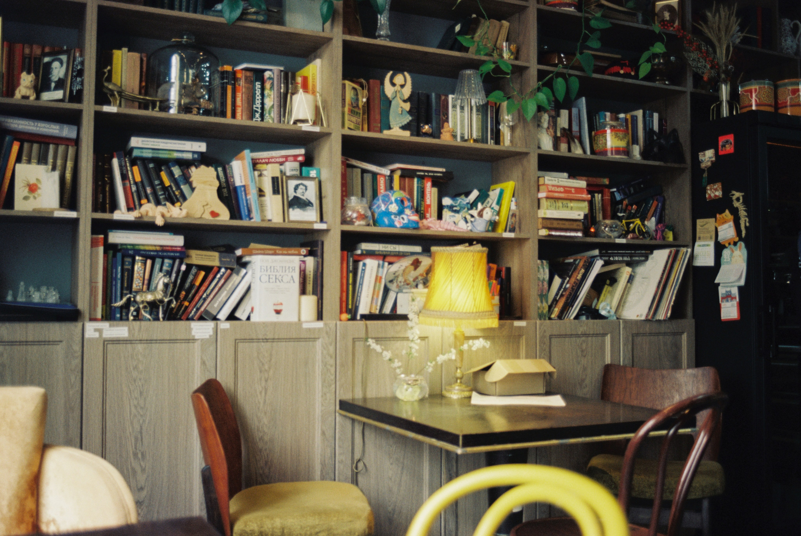 Плёночная весна 2025. Илья Михачёв Фотограф ПРО людей