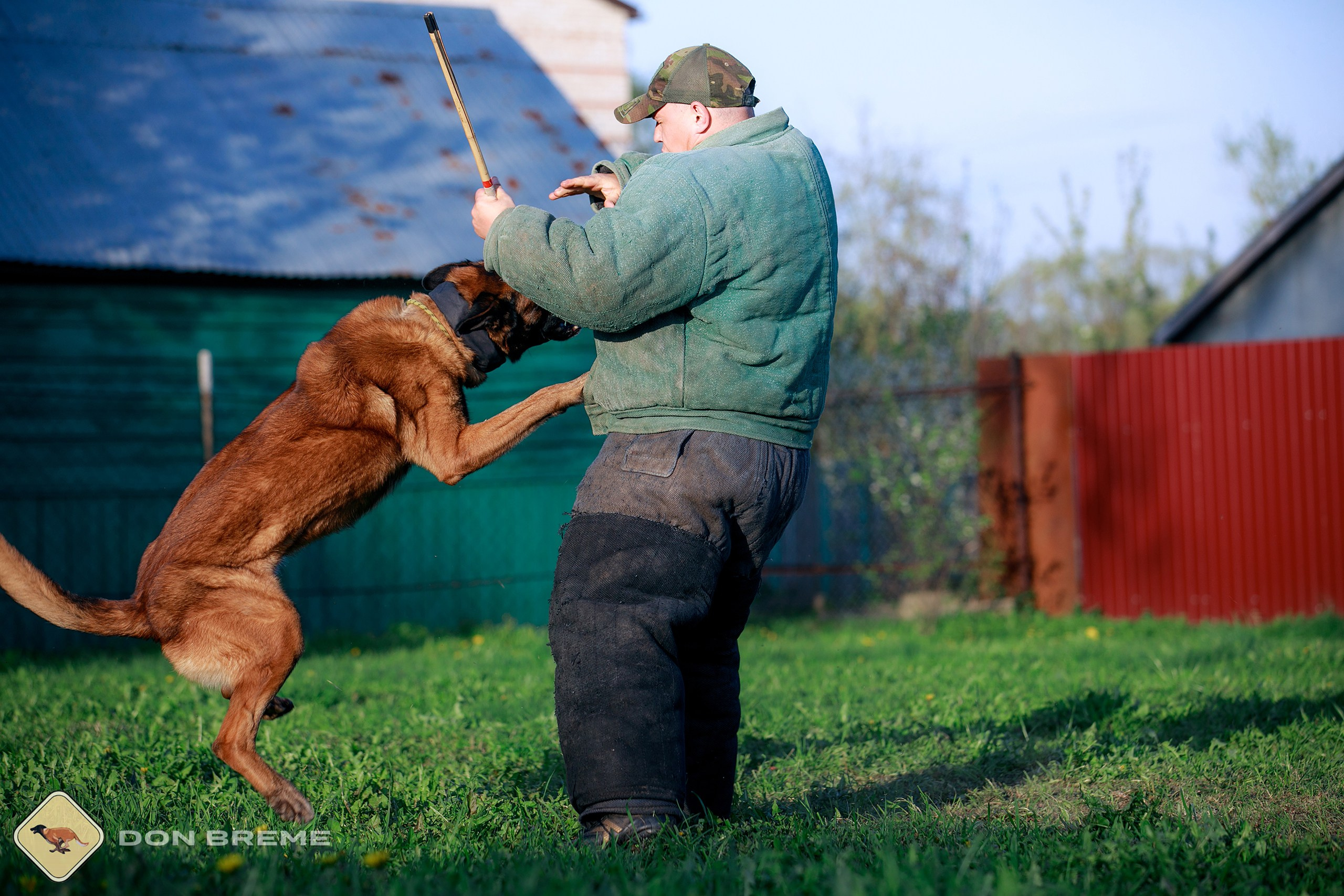 Семинар для фигурантов, день 4. Фотограф-анималист Mary Mart — Москва, Питер