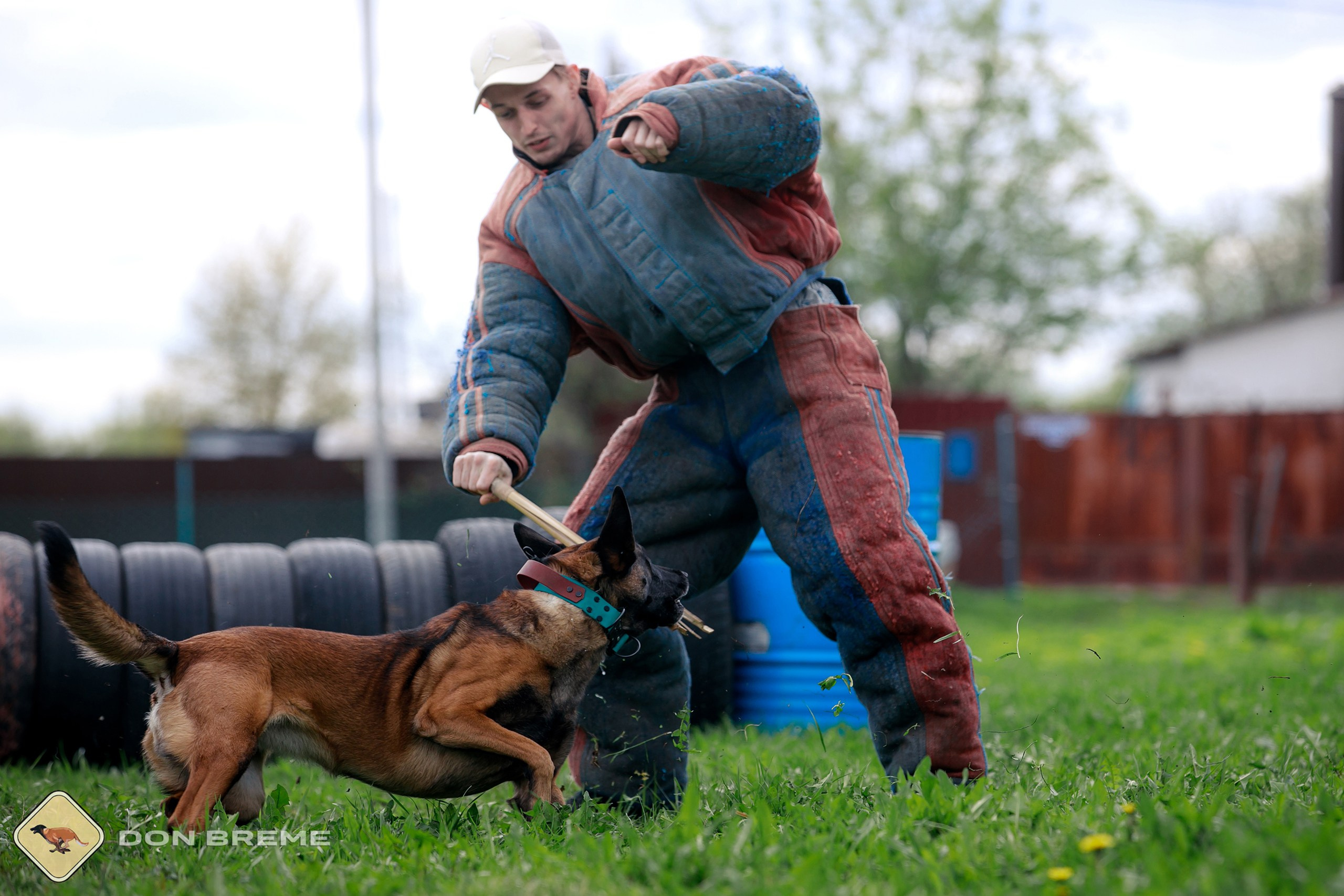 Семинар для фигурантов, день 2. Фотограф-анималист Mary Mart — Москва, Питер
