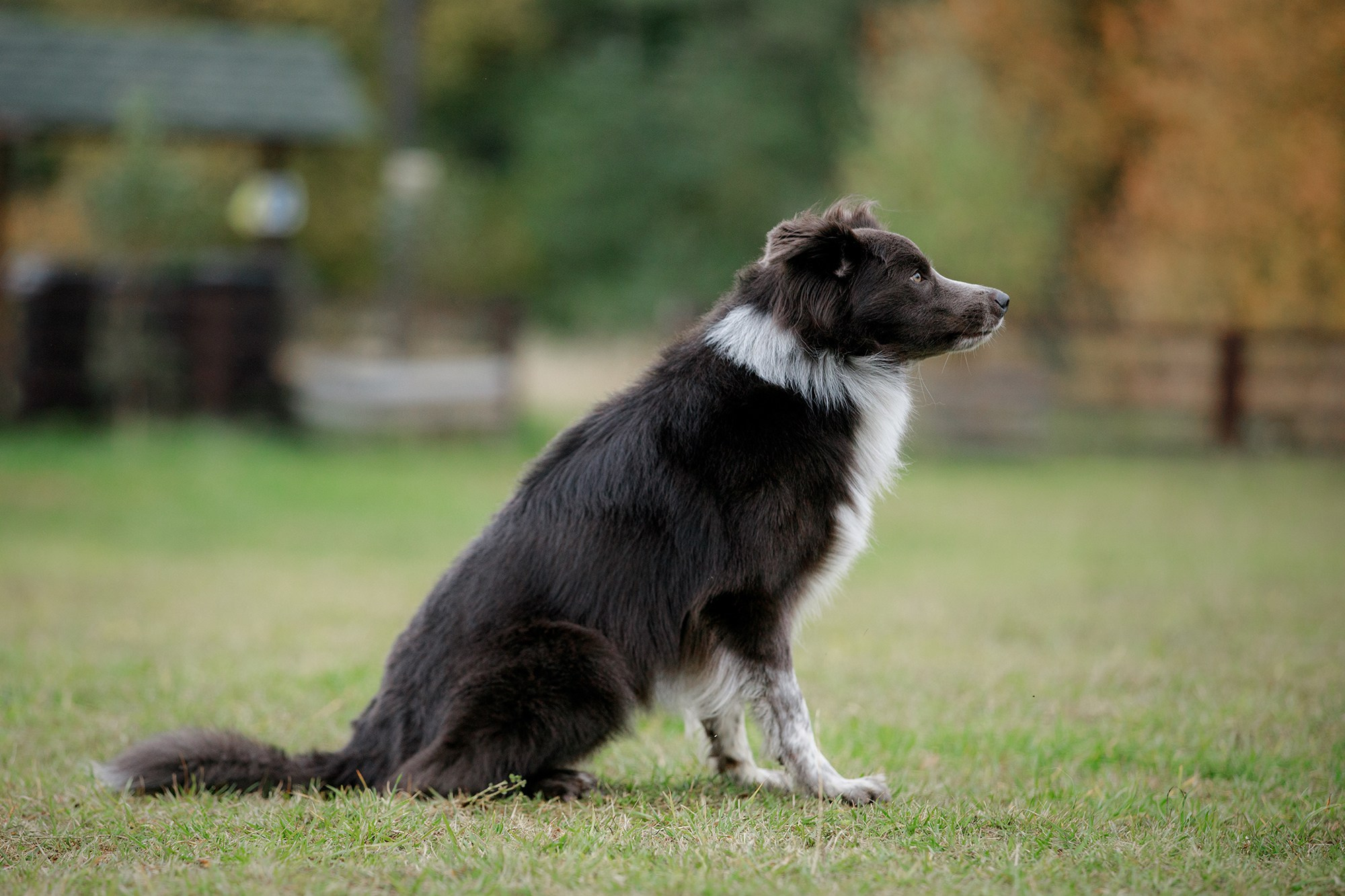 Лагерь по ОБД с Инной Баженовой. Фотограф-анималист Mary Mart — Москва, Питер