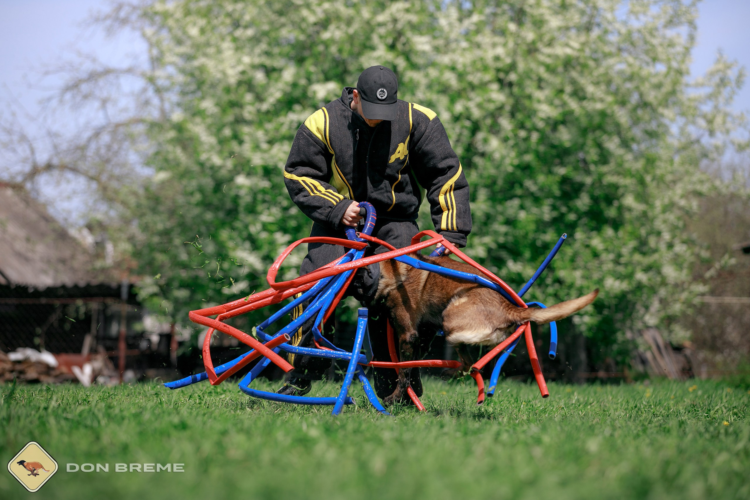 Семинар для фигурантов, день 4. Фотограф-анималист Mary Mart — Москва, Питер
