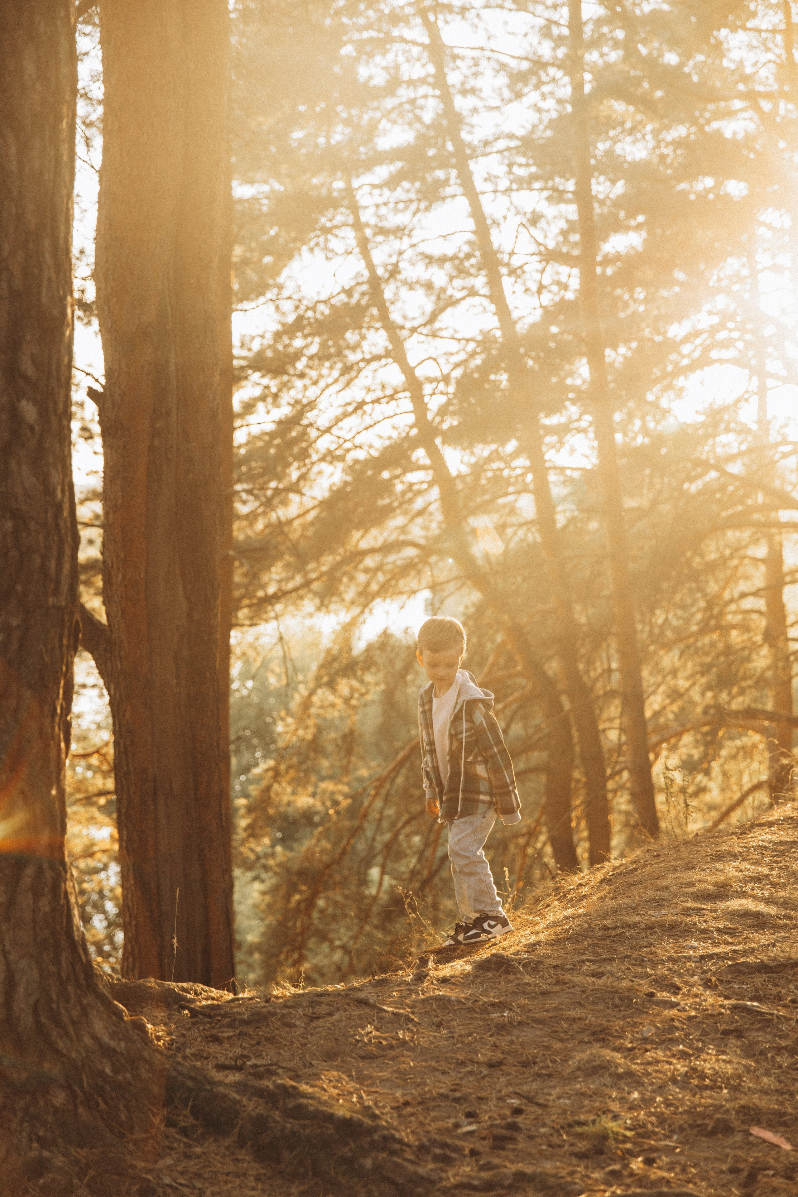 Осень. Фотограф Настасья Паламарчук