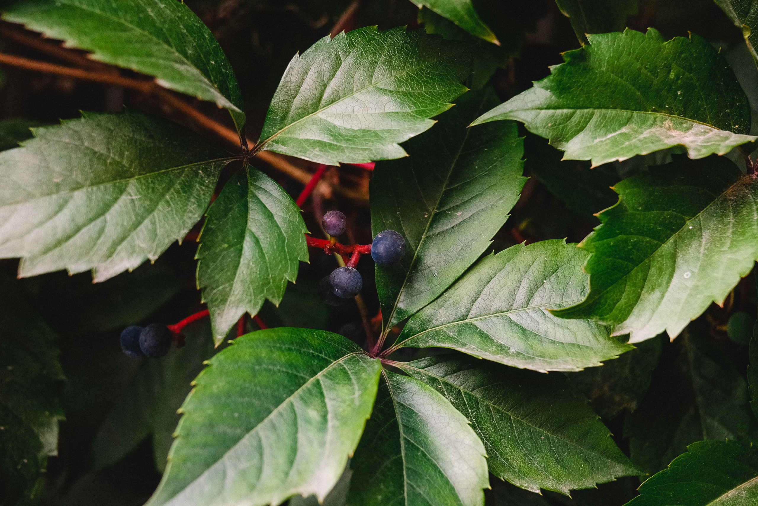 2023.09. Фотограф Алексей Алексеев