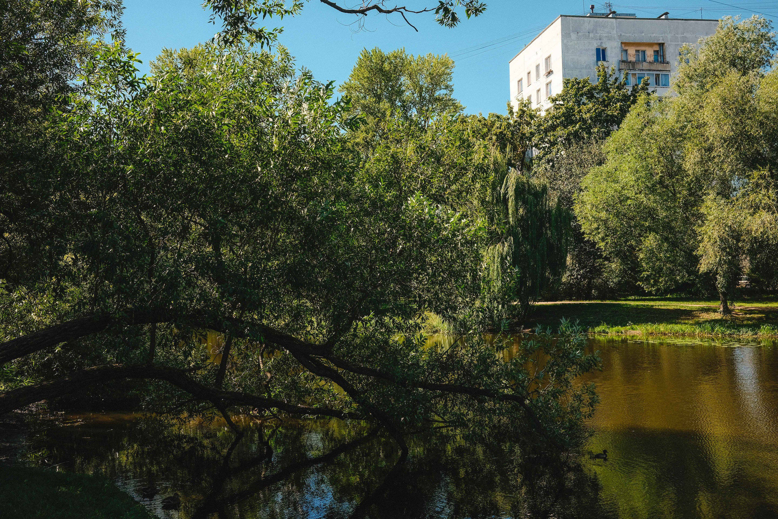 2023.08. Фотограф Алексей Алексеев