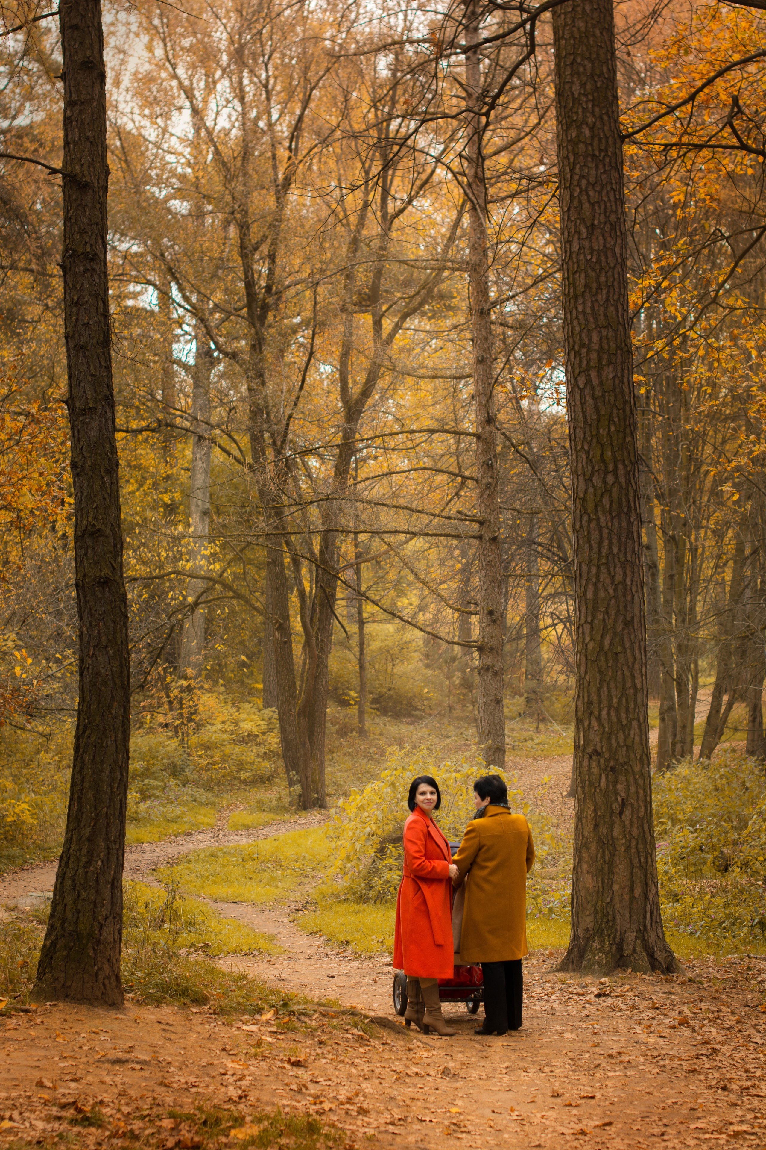 Осень в парке Измайлово. Фотосессия для Анны. Фотосессия беременности — Крылова Натали — Москва