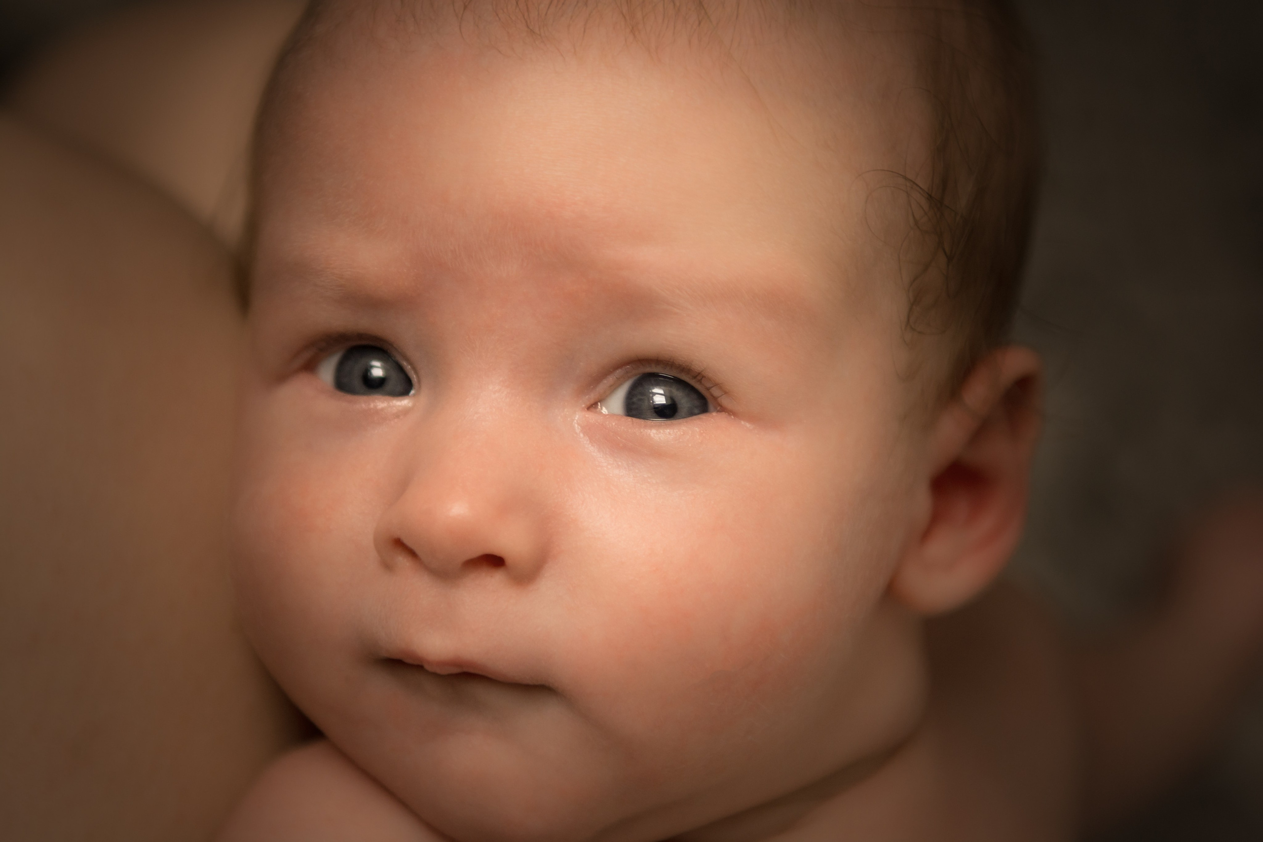 В реквизите. Фотосессия беременности — Крылова Натали — Москва