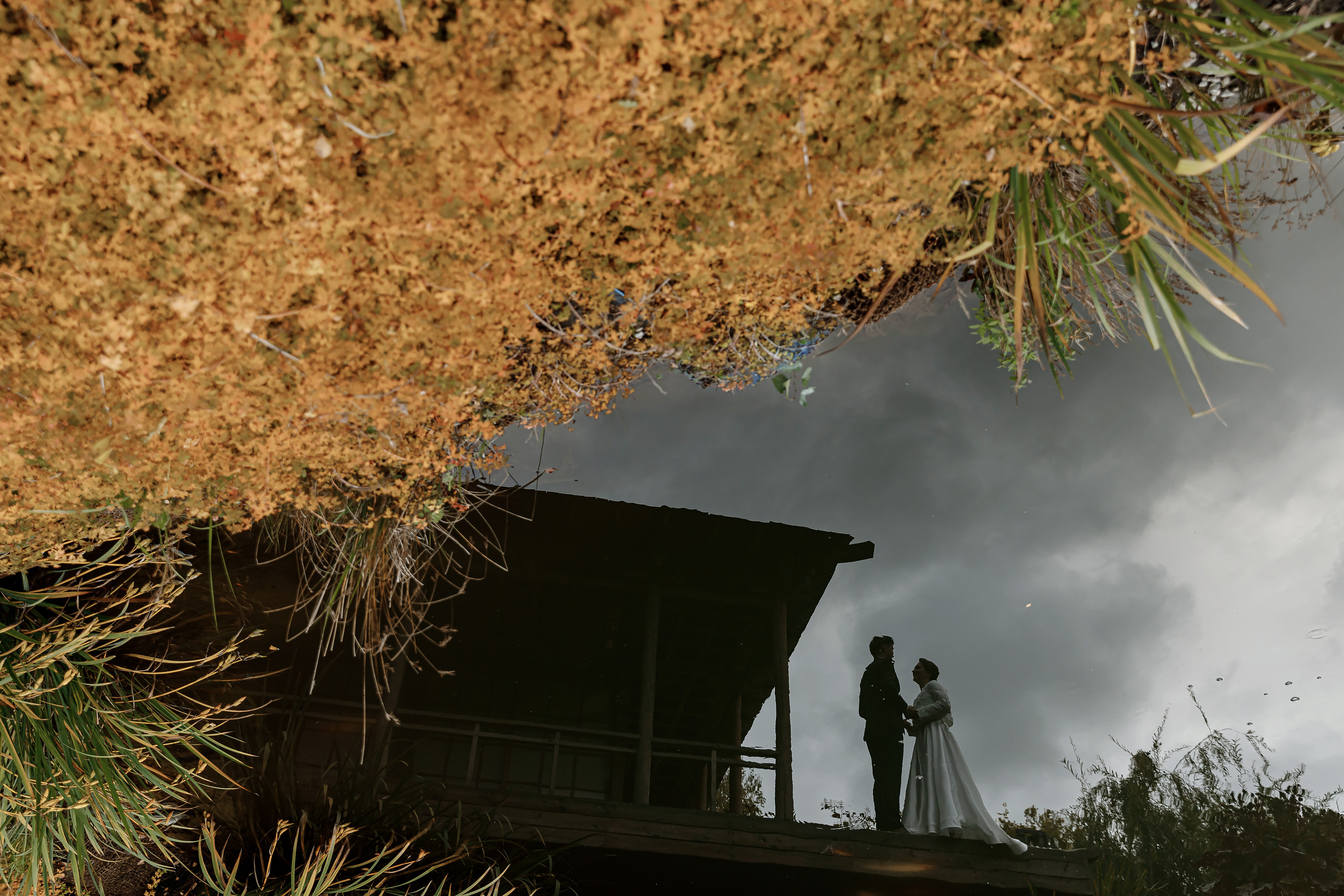 Wedding day Алексей & Алина. Свадебный фотограф Колесников Антон