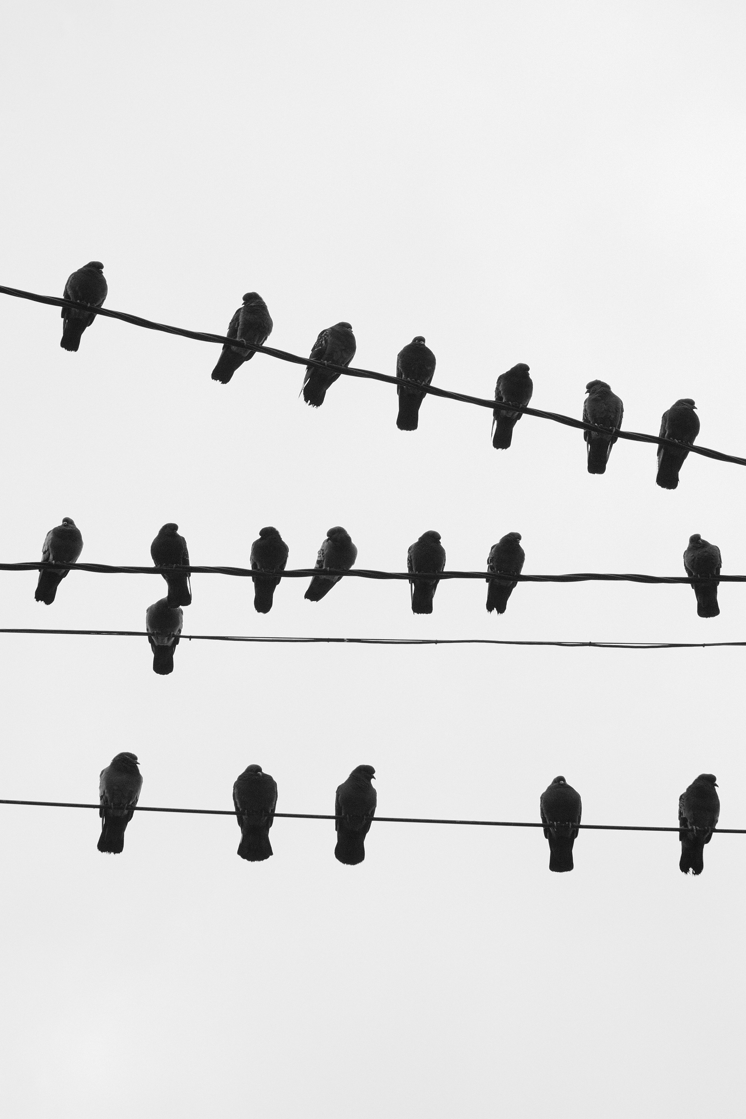 Krasnodar. Creative travel photographer — Berg Daria