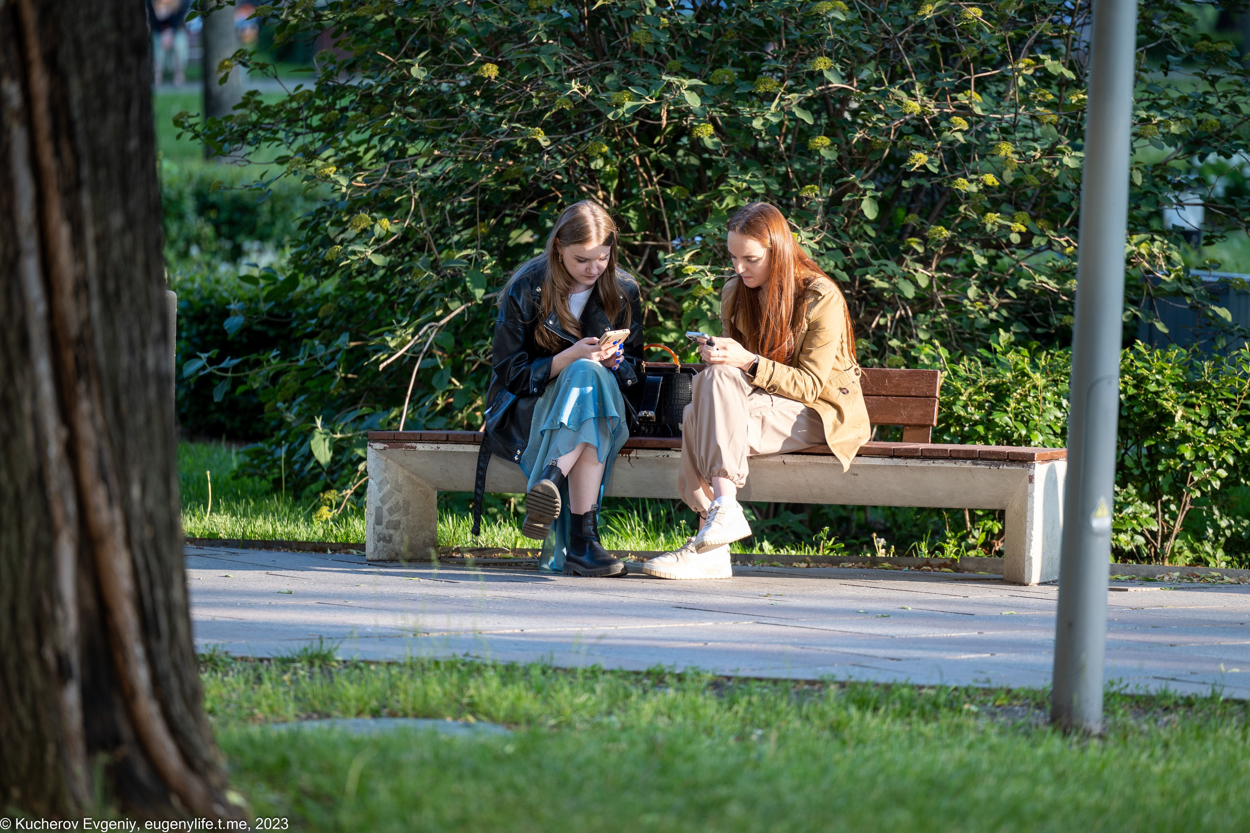 Скамейки. Кучеров Евгений. Фотограф