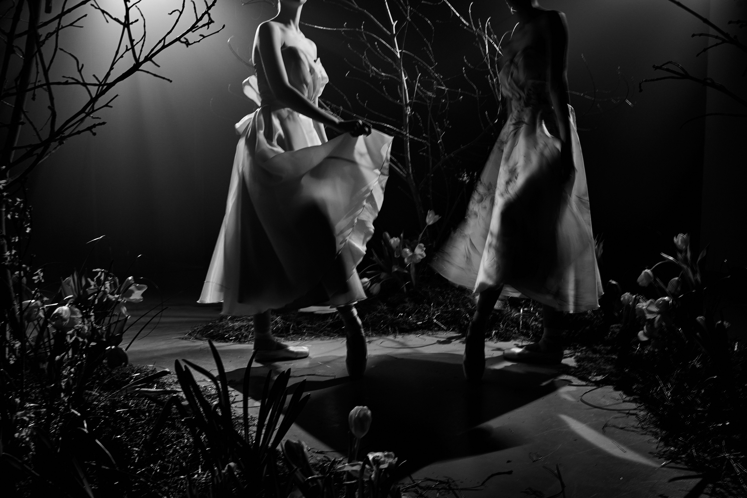 Балерины. Репортажный и свадебный фотограф Роман Яшкильдин