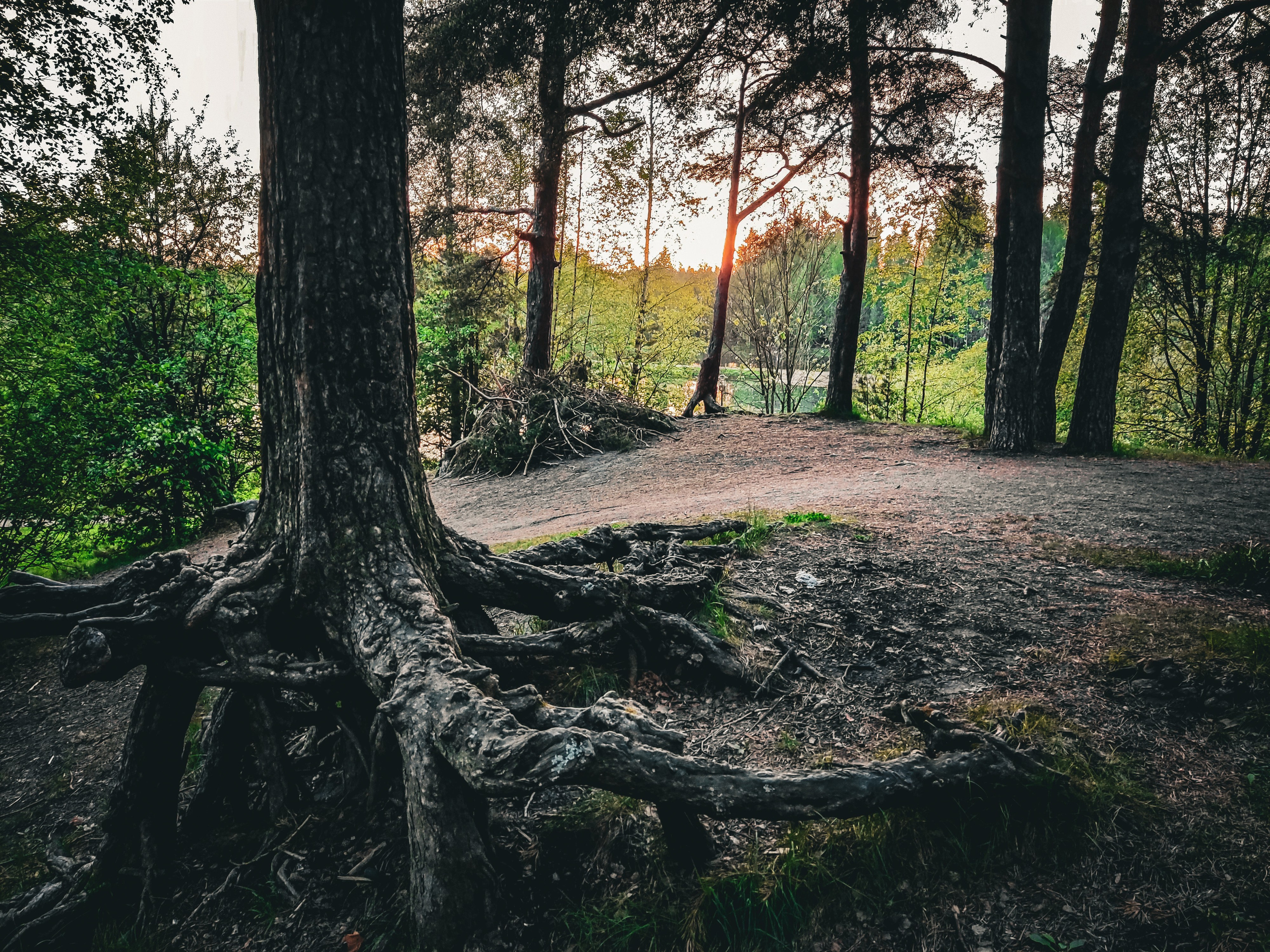 Стрит-фото. F.O.xygen