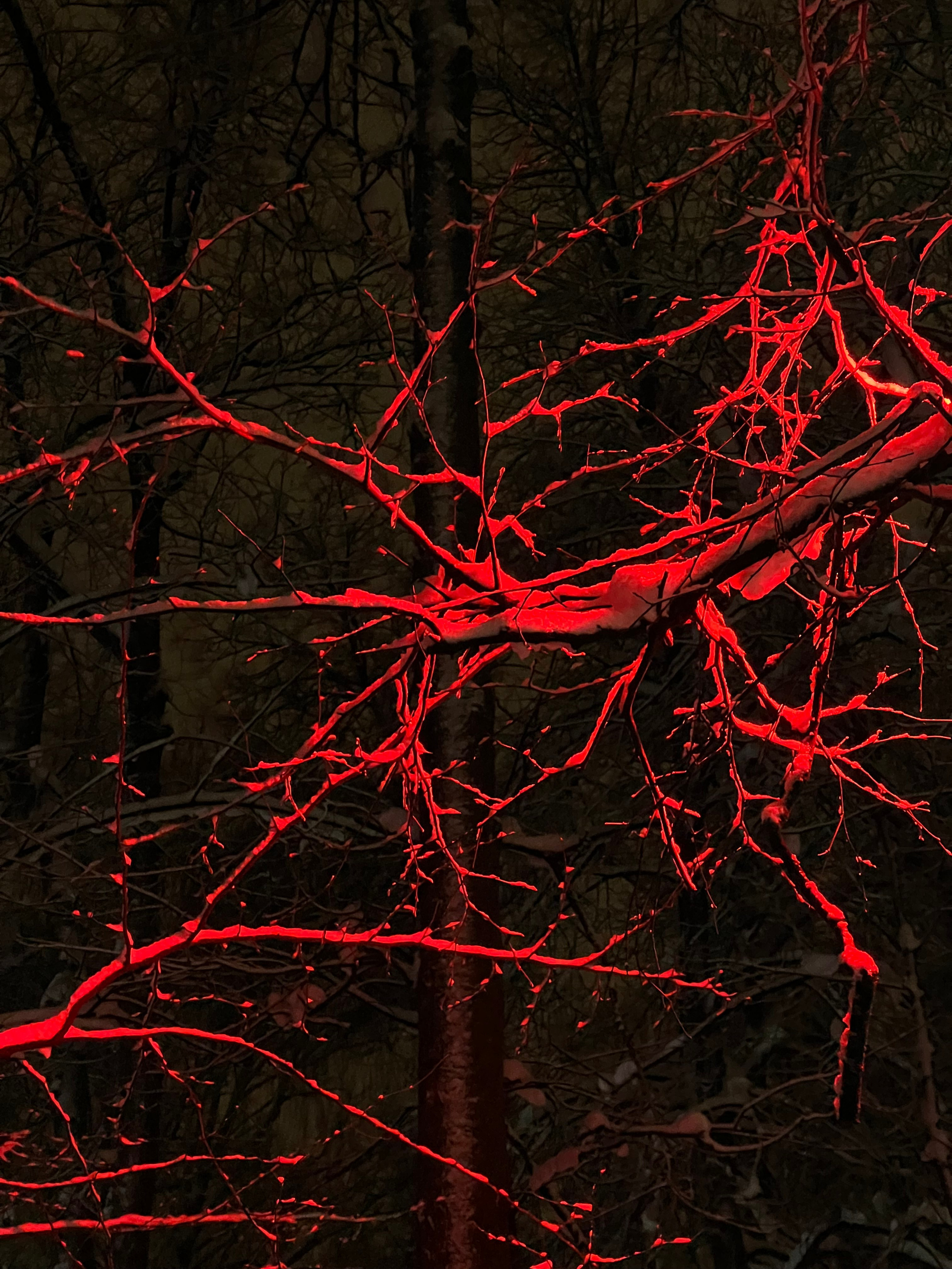 Fragments. Artem Khusainov