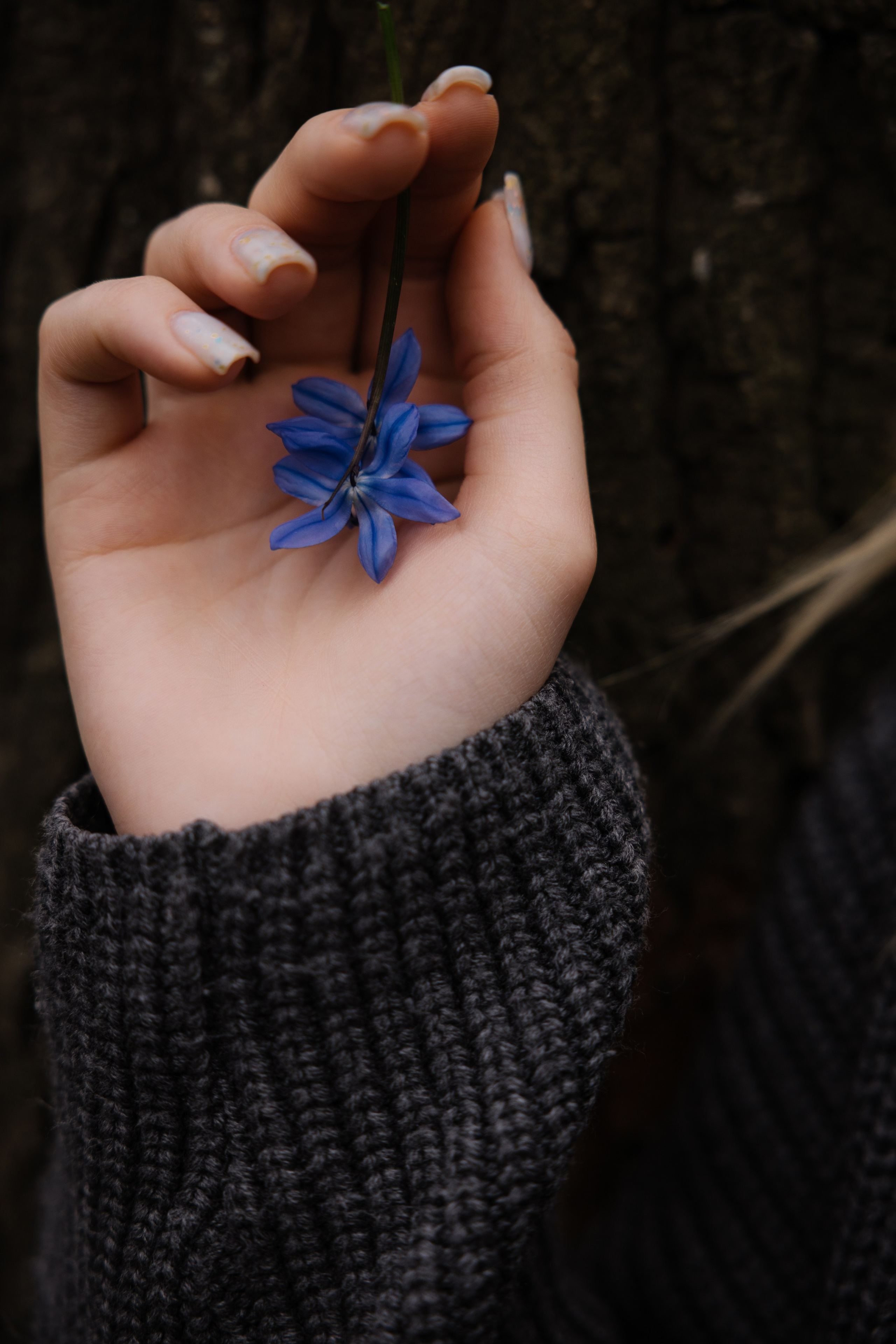 Вероника. Семейный фотограф Губкин/Старый Оскол