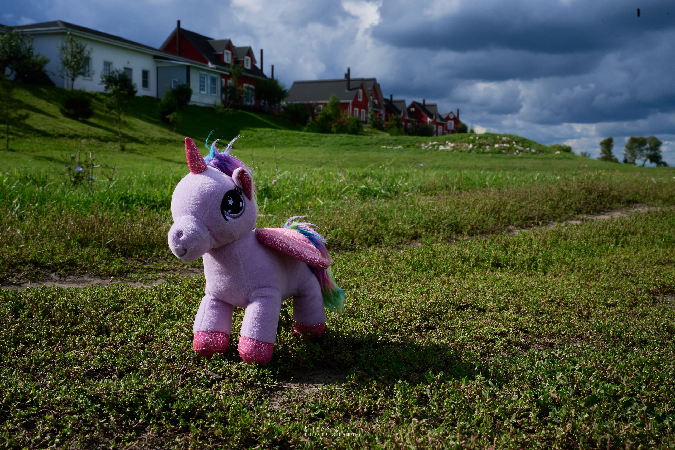 Рязань. Август 2025. Фотограф Роман Адлер