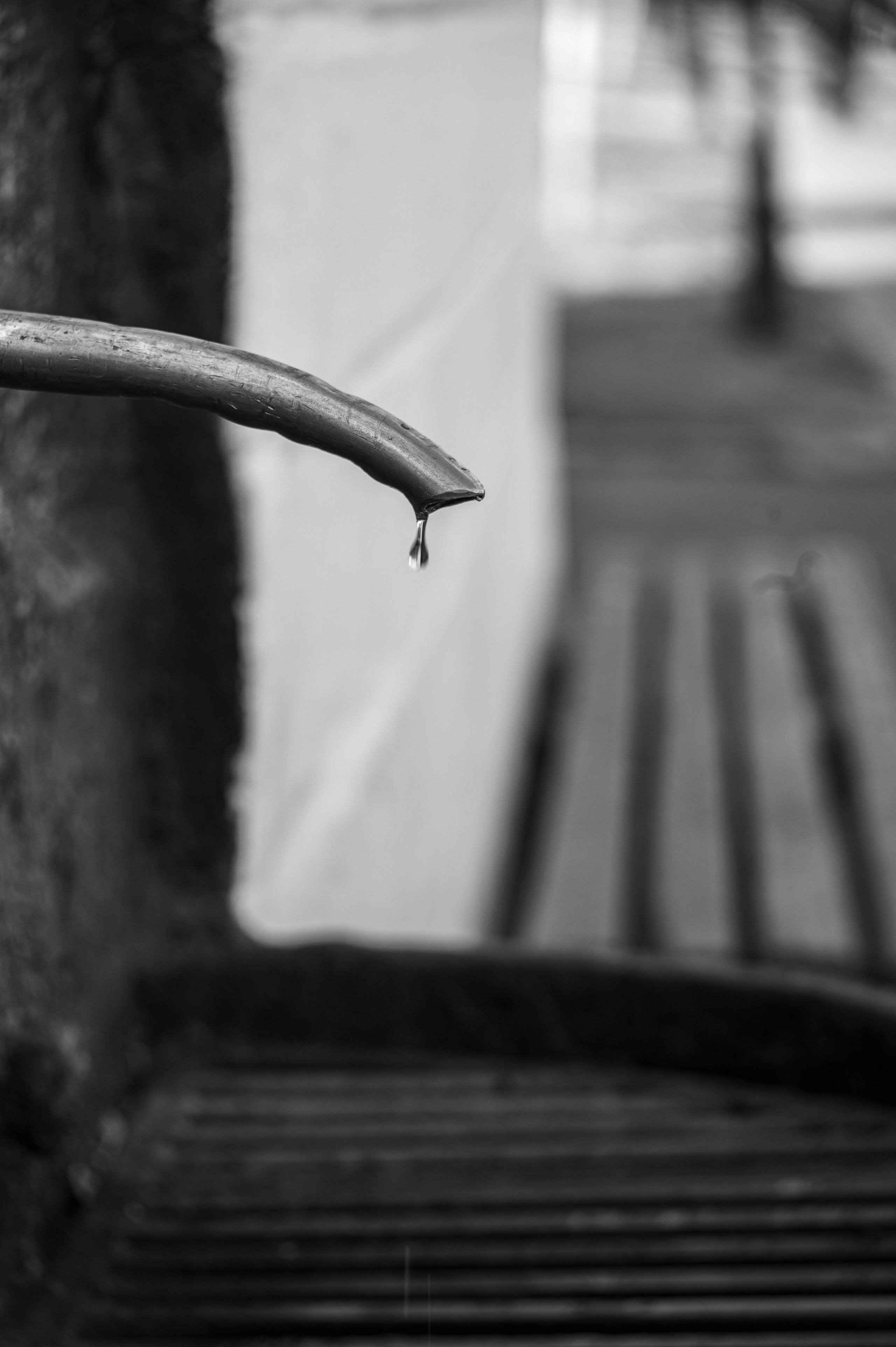 Муром. Сентябрь 2022. Фотограф Роман Адлер