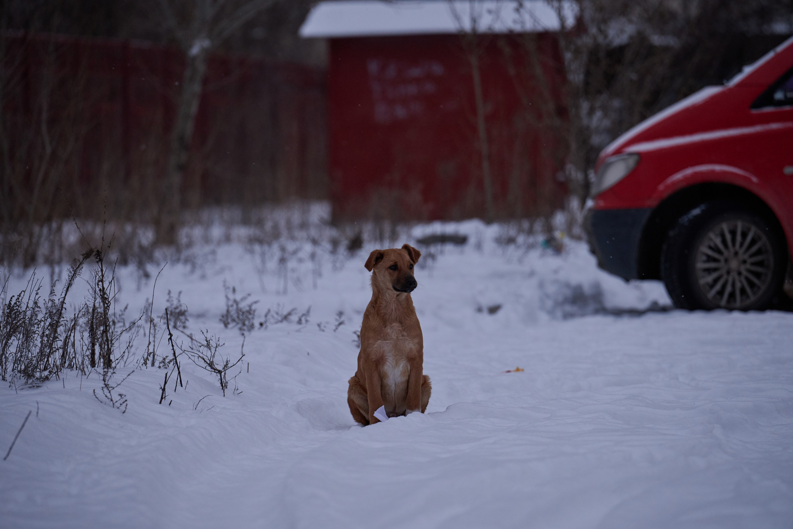 Рубежное. Январь 2026. Фотограф Роман Адлер