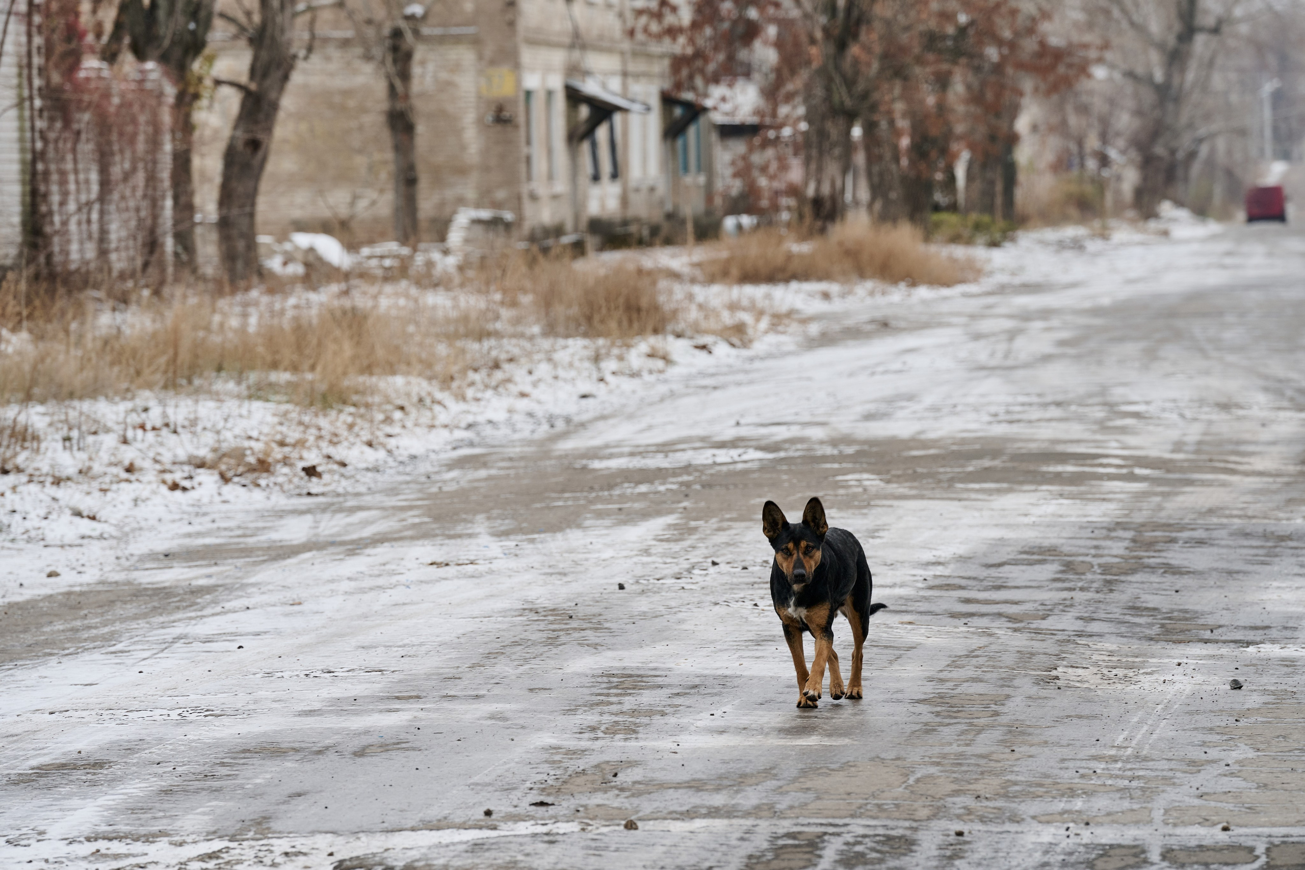 Рубежное. Декабрь 2024. Фотограф Роман Адлер