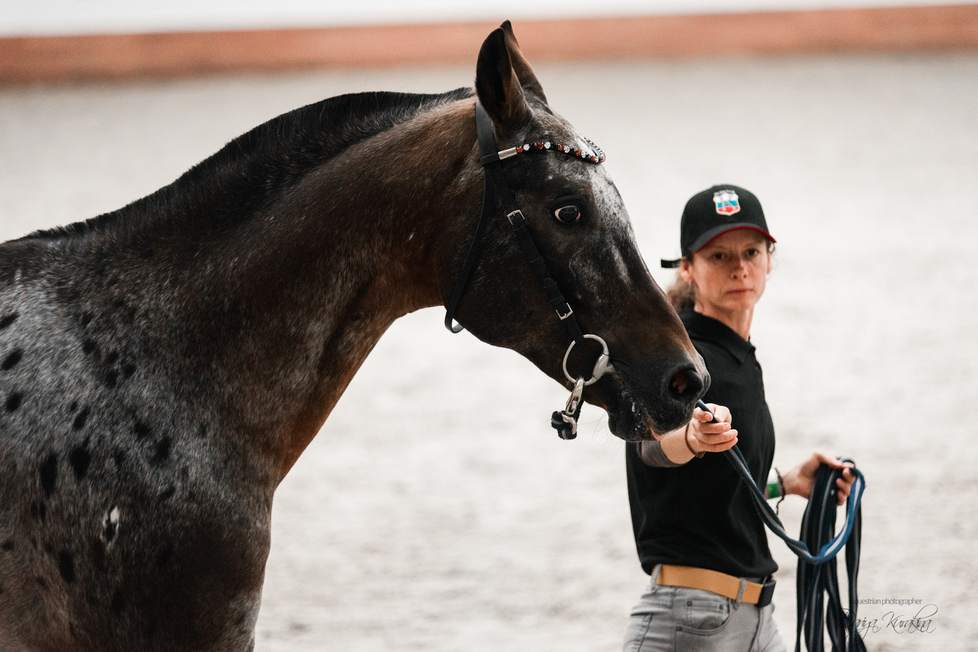 8-я международная выставка Конная Россия. Конный фотограф Куракина Дарья • Фотосессии с лошадьми