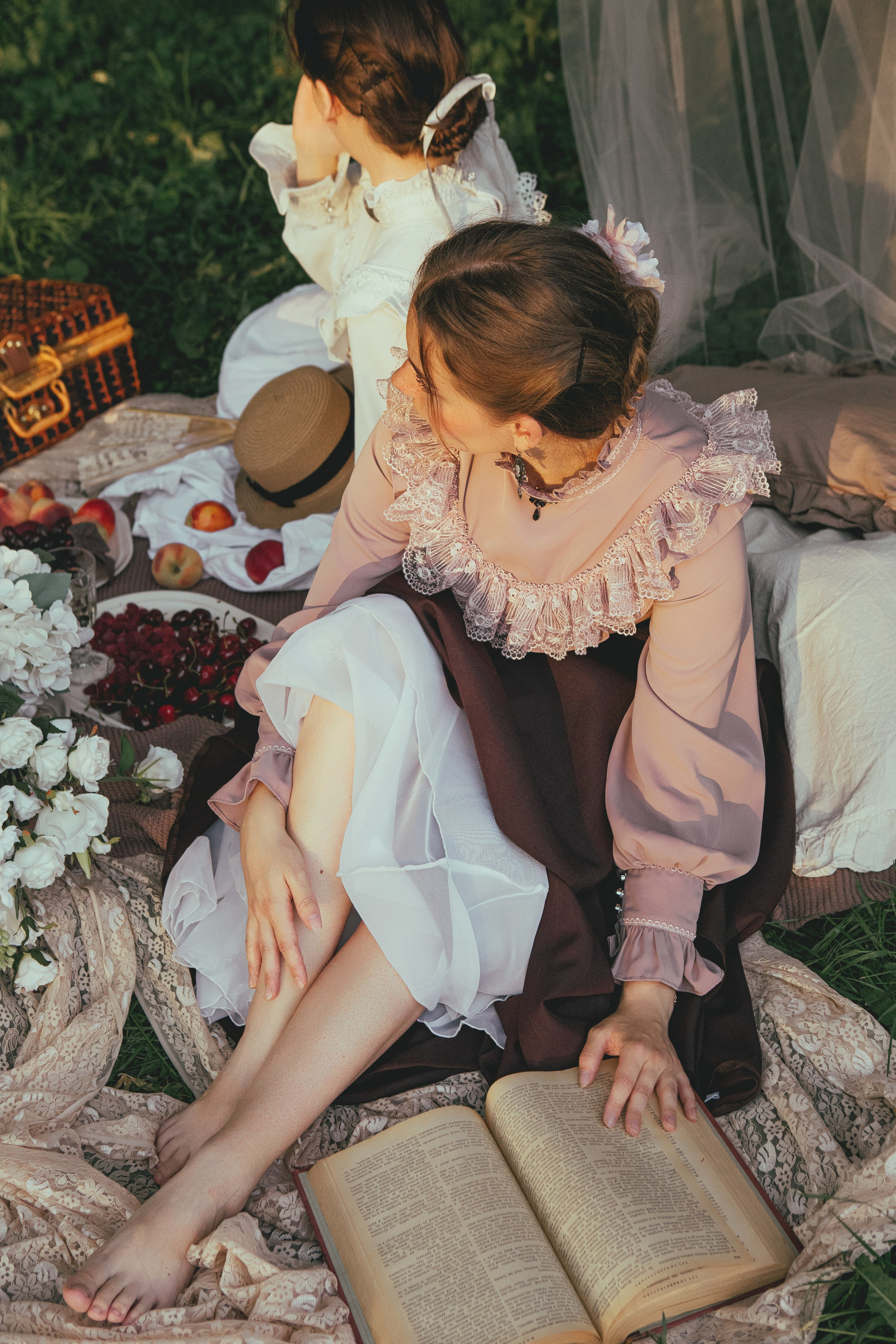 Пикник. Allirubrum