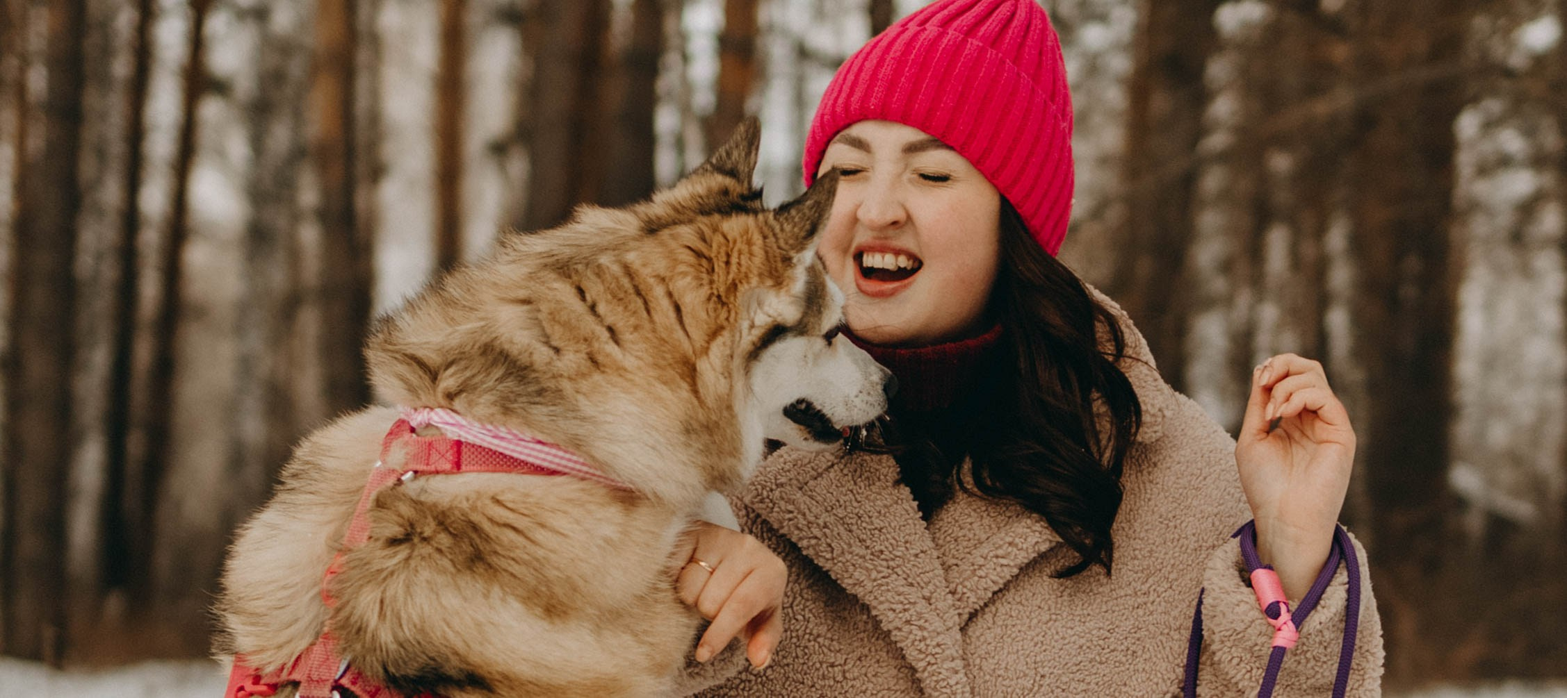 Варвара и Шелби. Фотограф-анималист в Екатеринбурге | Кристина