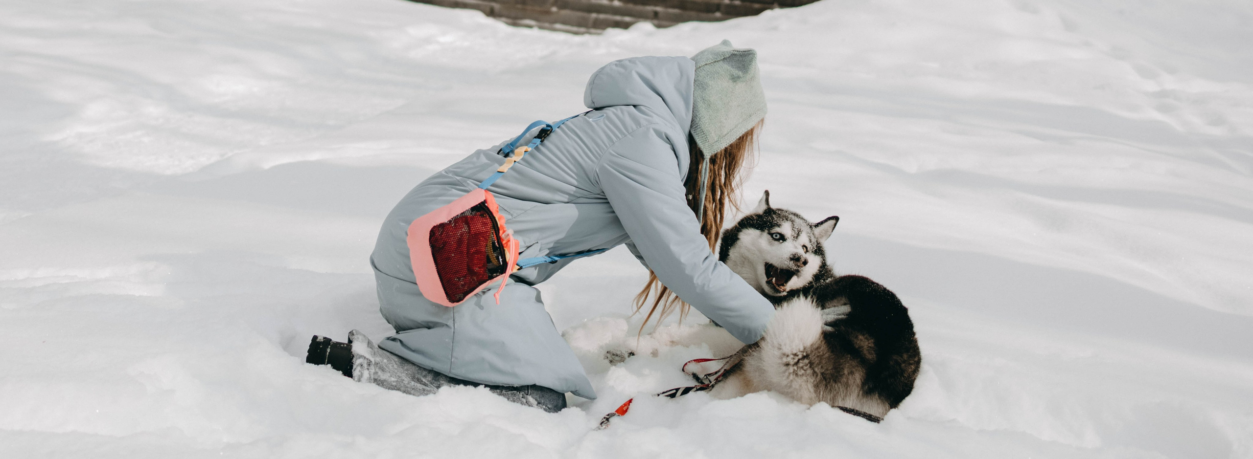 Анна и Вегас. Фотограф-анималист в Екатеринбурге | Кристина