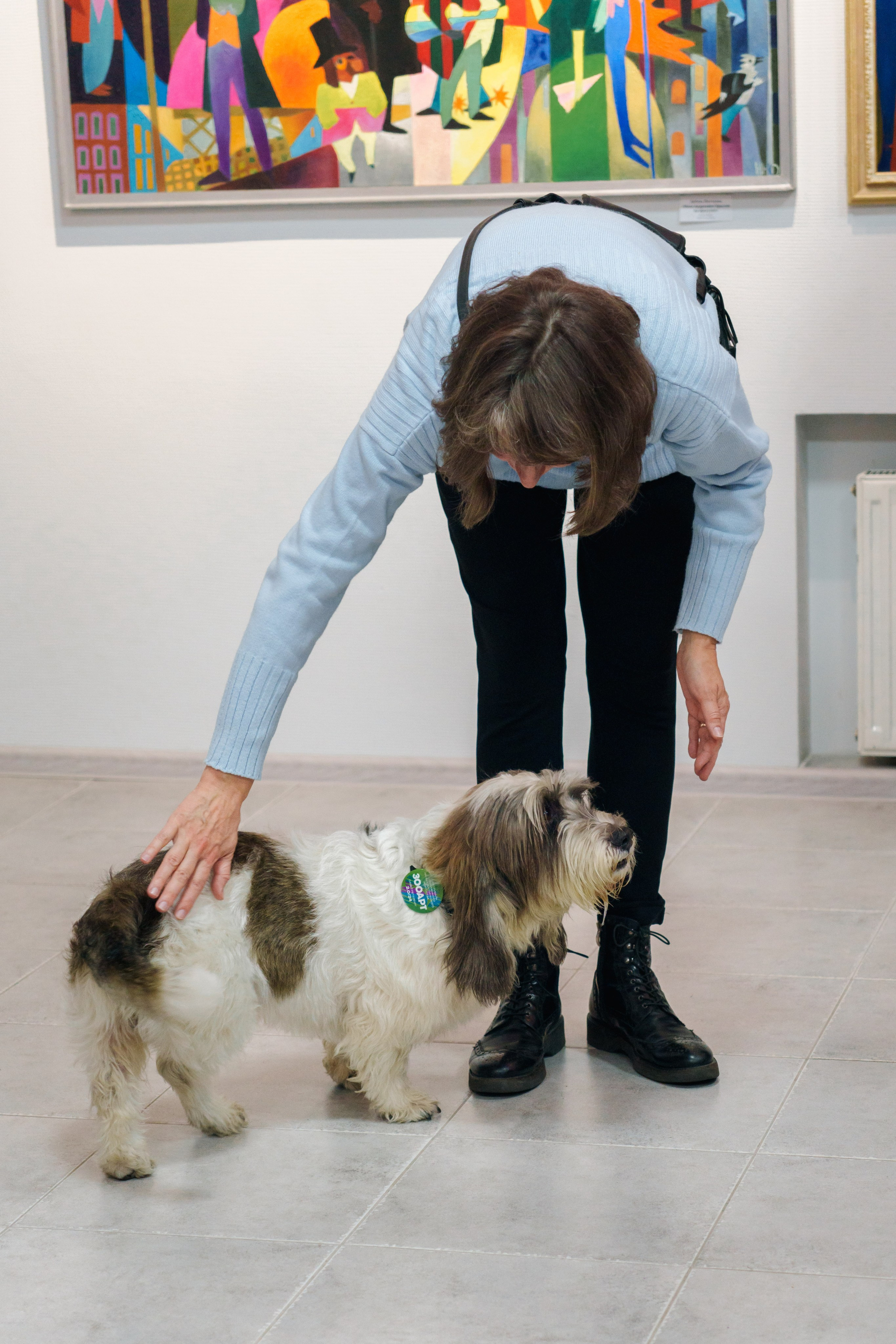 Открытие 11 фестиваля анималистики «Зооарт». Фотограф в Санкт-Петербурге Ибрагимова Алина