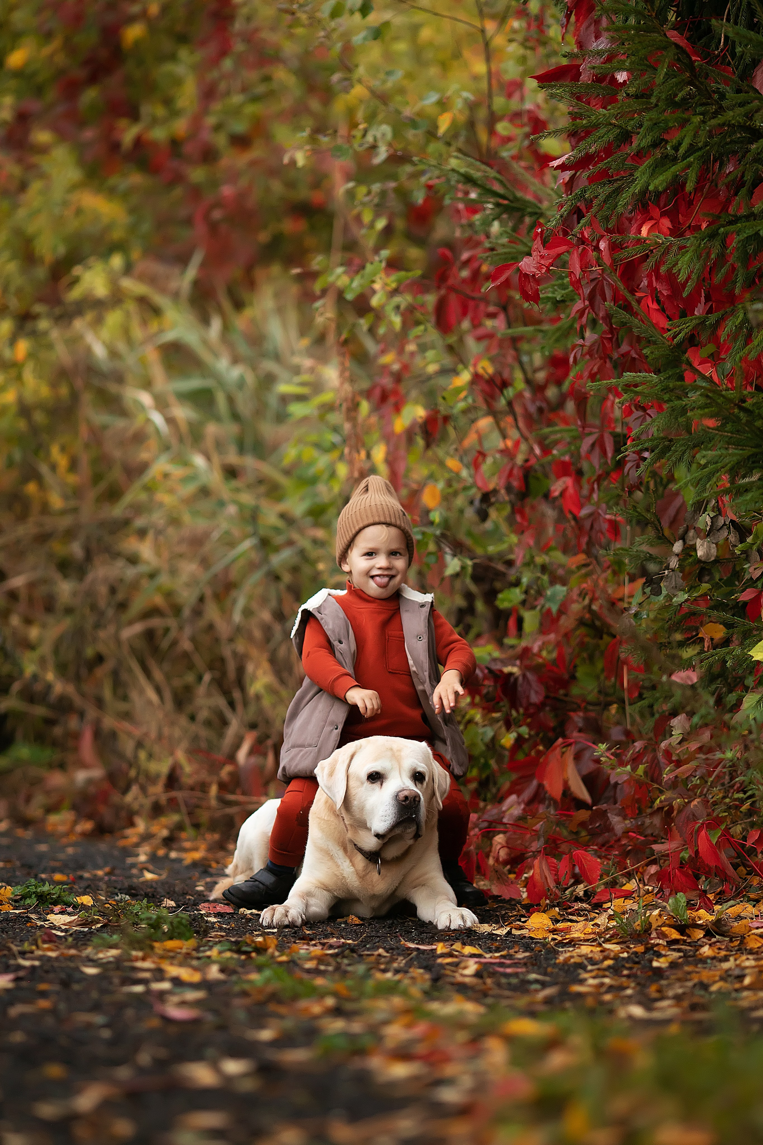Сказочная осень. Главная