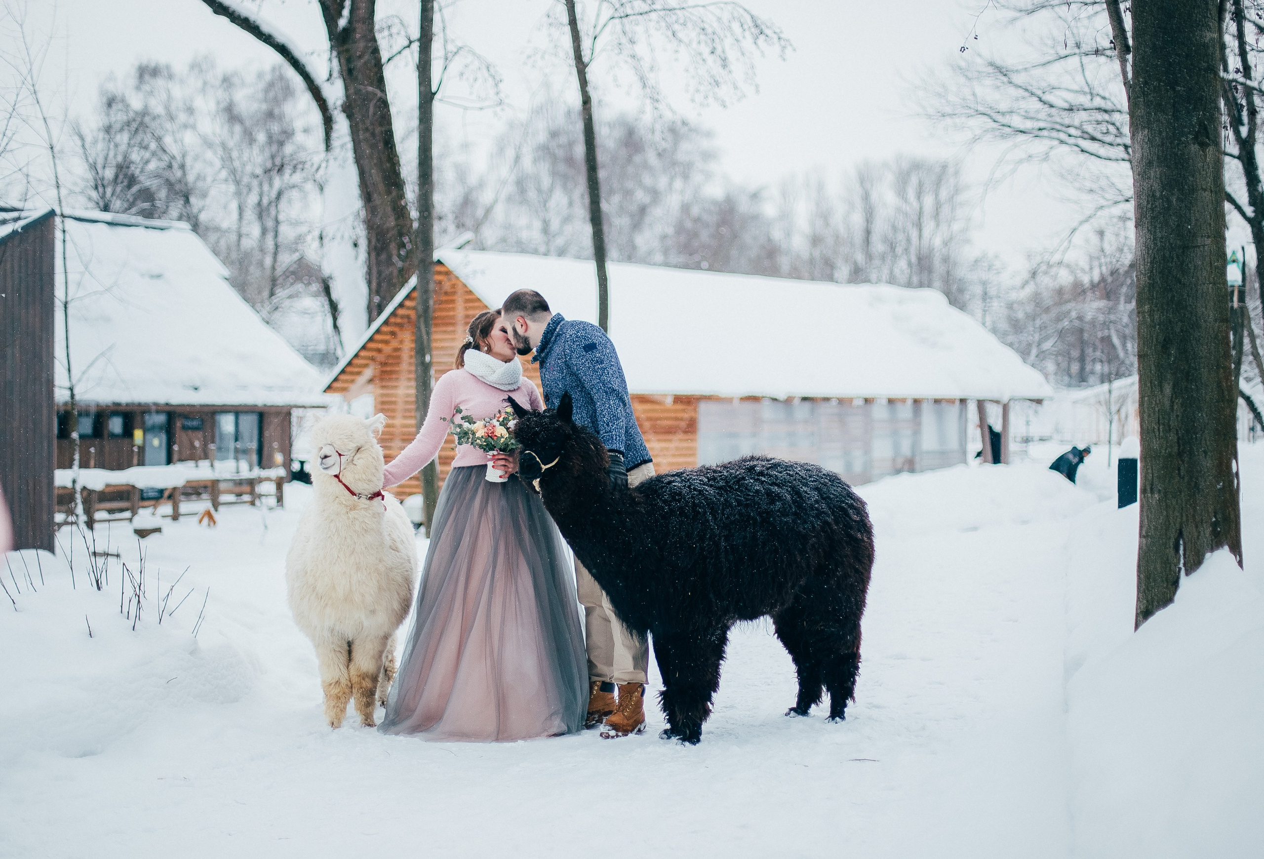Антон и Анастасия. Свадебный и семейный фотограф Екатерина Бубнова