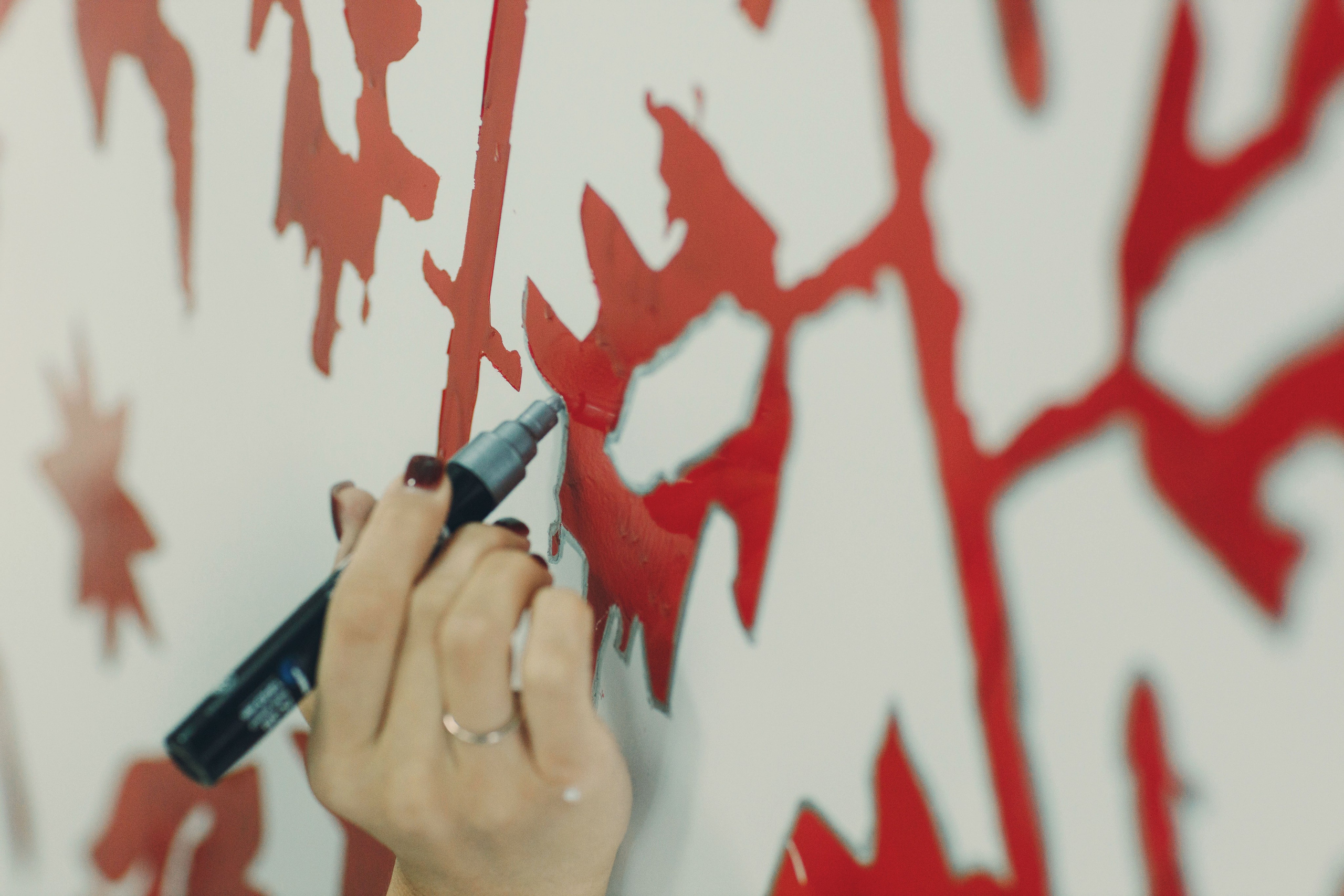 Репортажная съемка форума «Двери Росси-2025» в Чебоксарах. Портретный и репортажный фотограф в Чебоксарах Андриян Чаркин