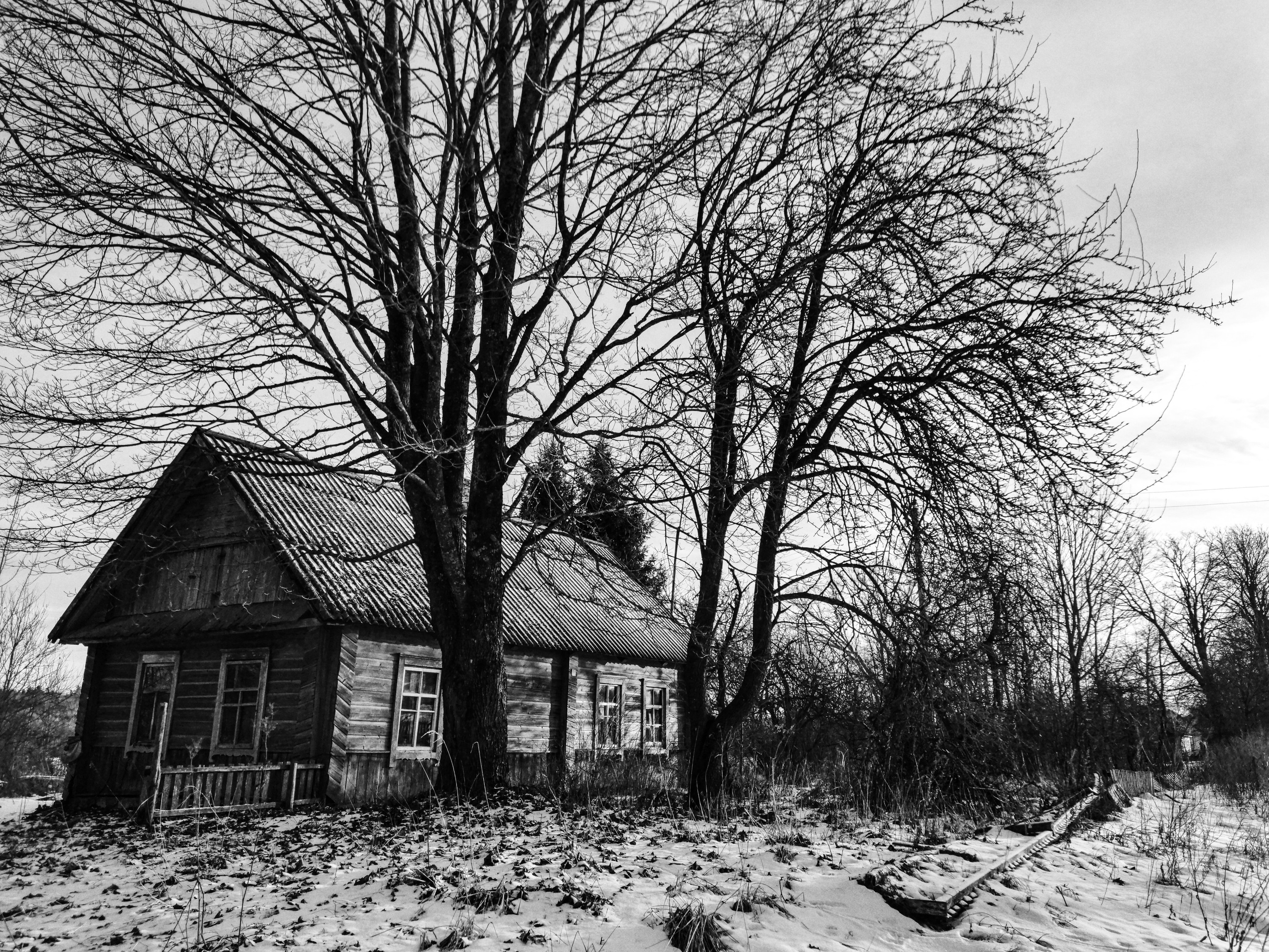 Жизнь деревенская. Фотограф Антон Швец — Монохромная реальность