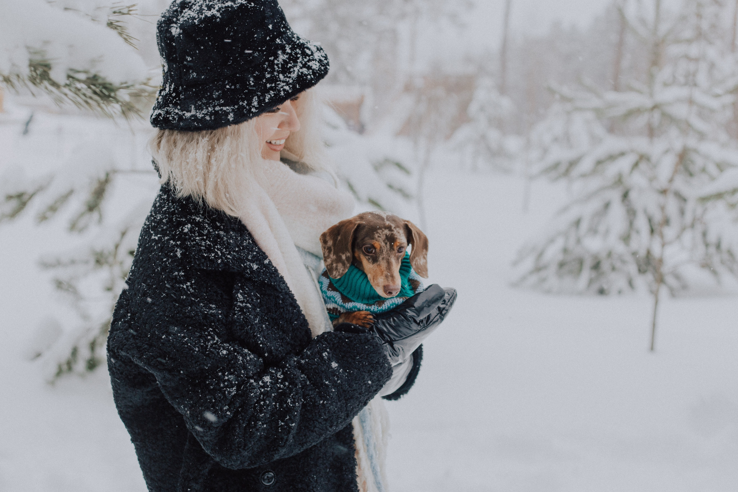 Winter. «A pet». Фотограф Москва / Балашиха