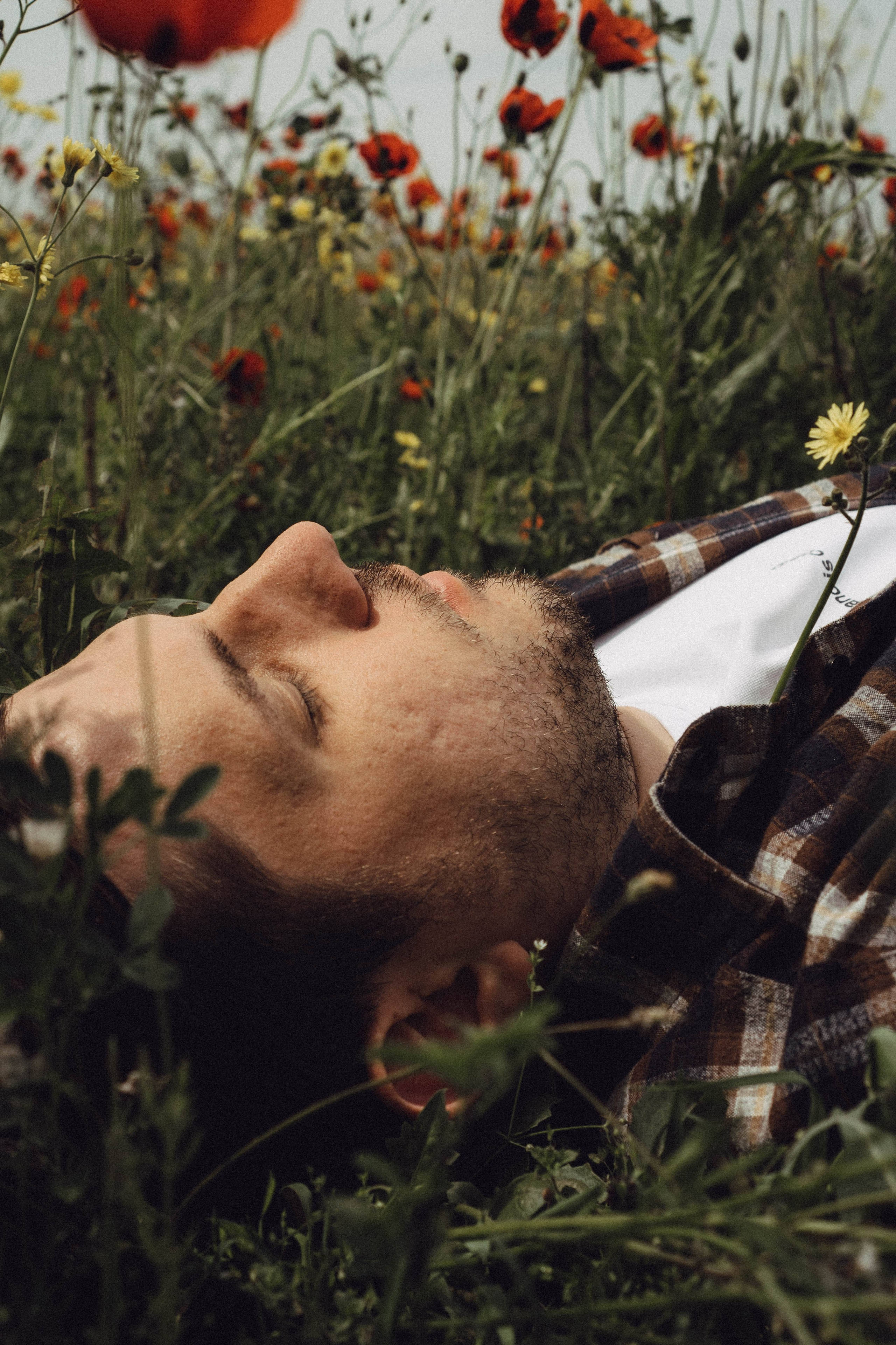 Маки. Профессиональный фотограф, Санкт-Петербург — Виктория Богомолова