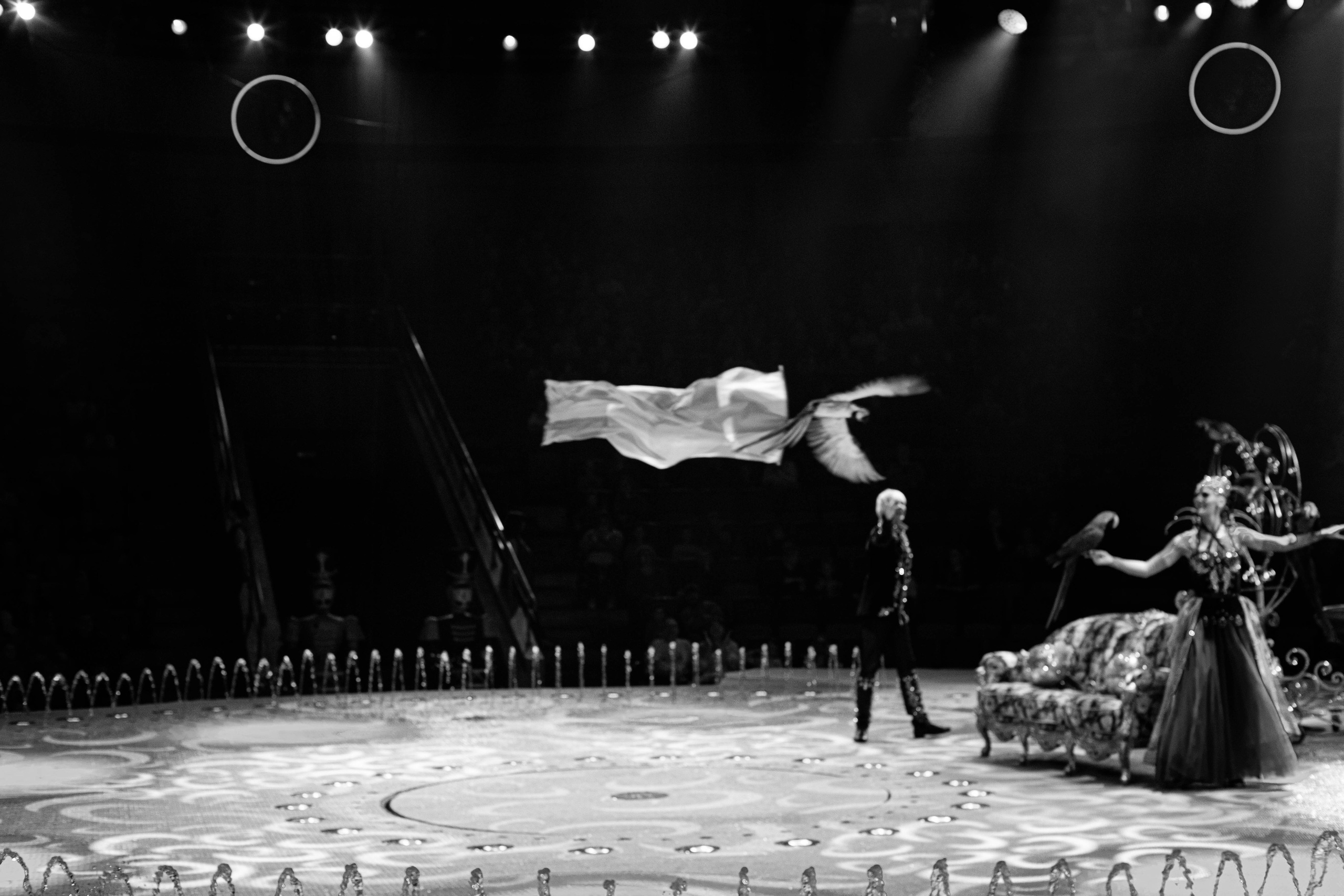 Нижегородский цирк. Шоу фонтанов. Фотограф в Нижнем Новгороде