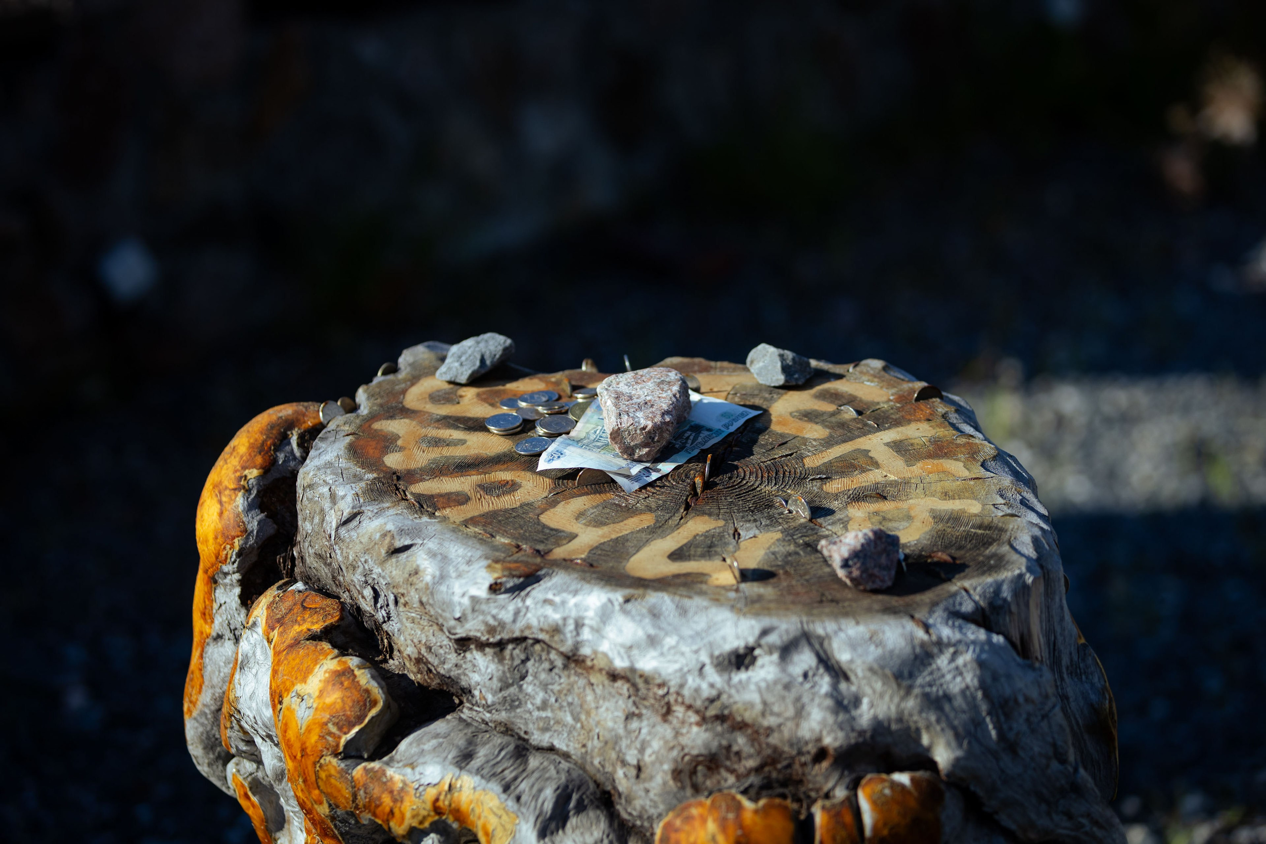 Кольский (осень 2025). Фотограф Виноградов Константин