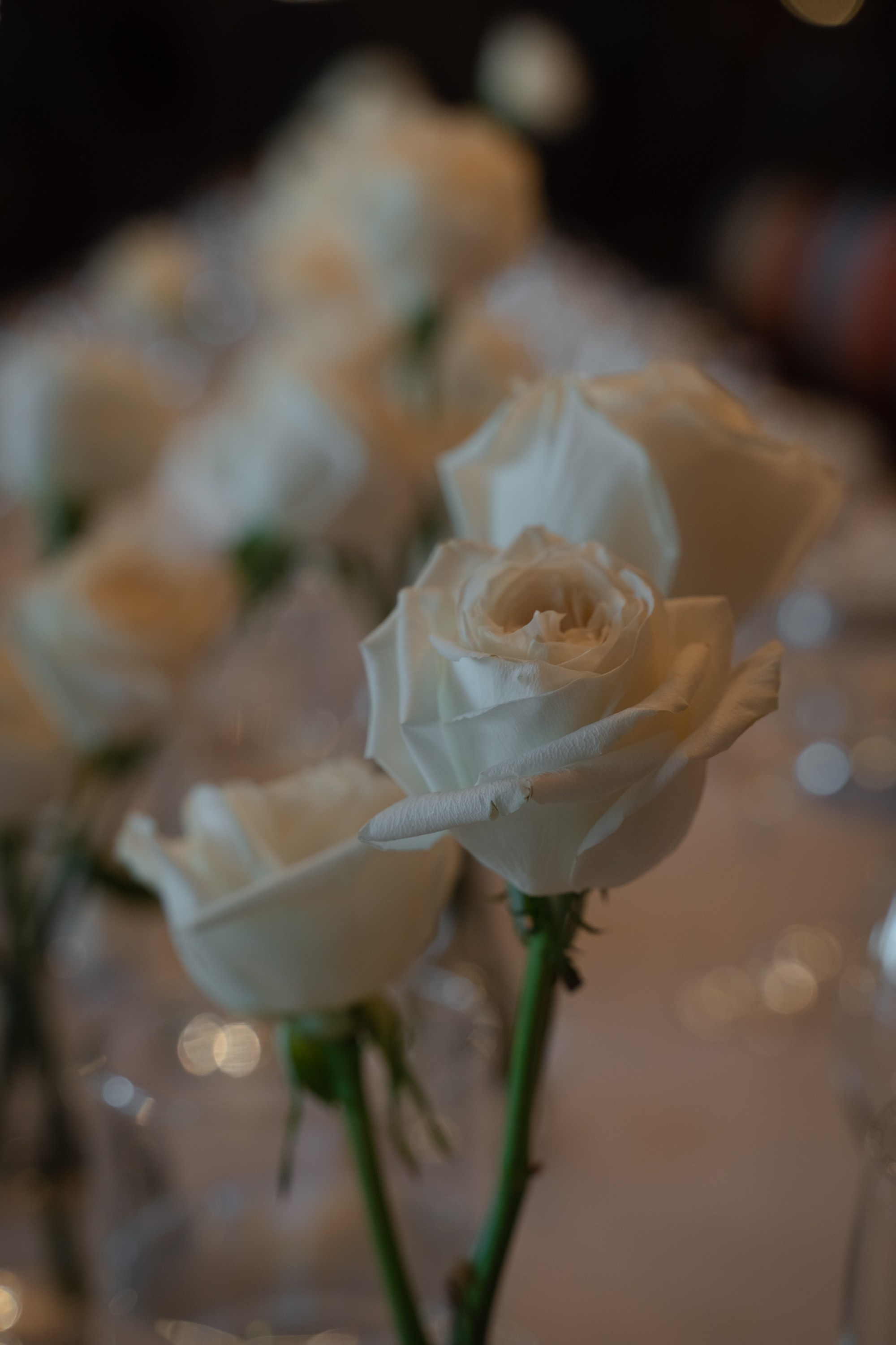 Yana&Viktor. Портретный фотограф в Краснодаре Валерия Матирная