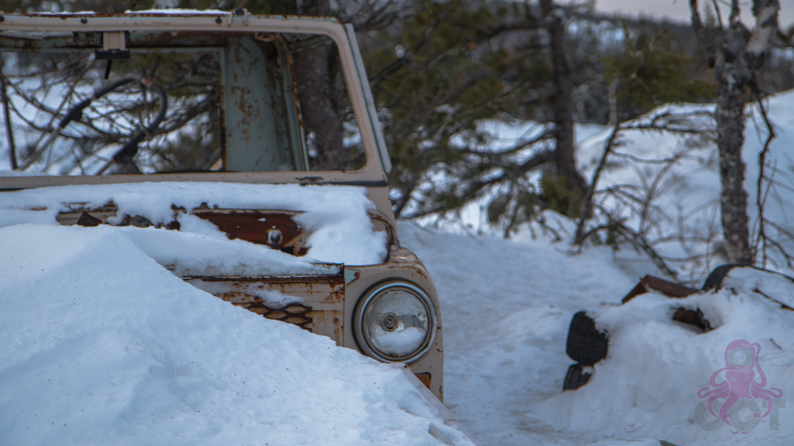 Буддистский монастырь Шад Тчуп Линг. Предметный и репортажный фотограф Алексей Кротов