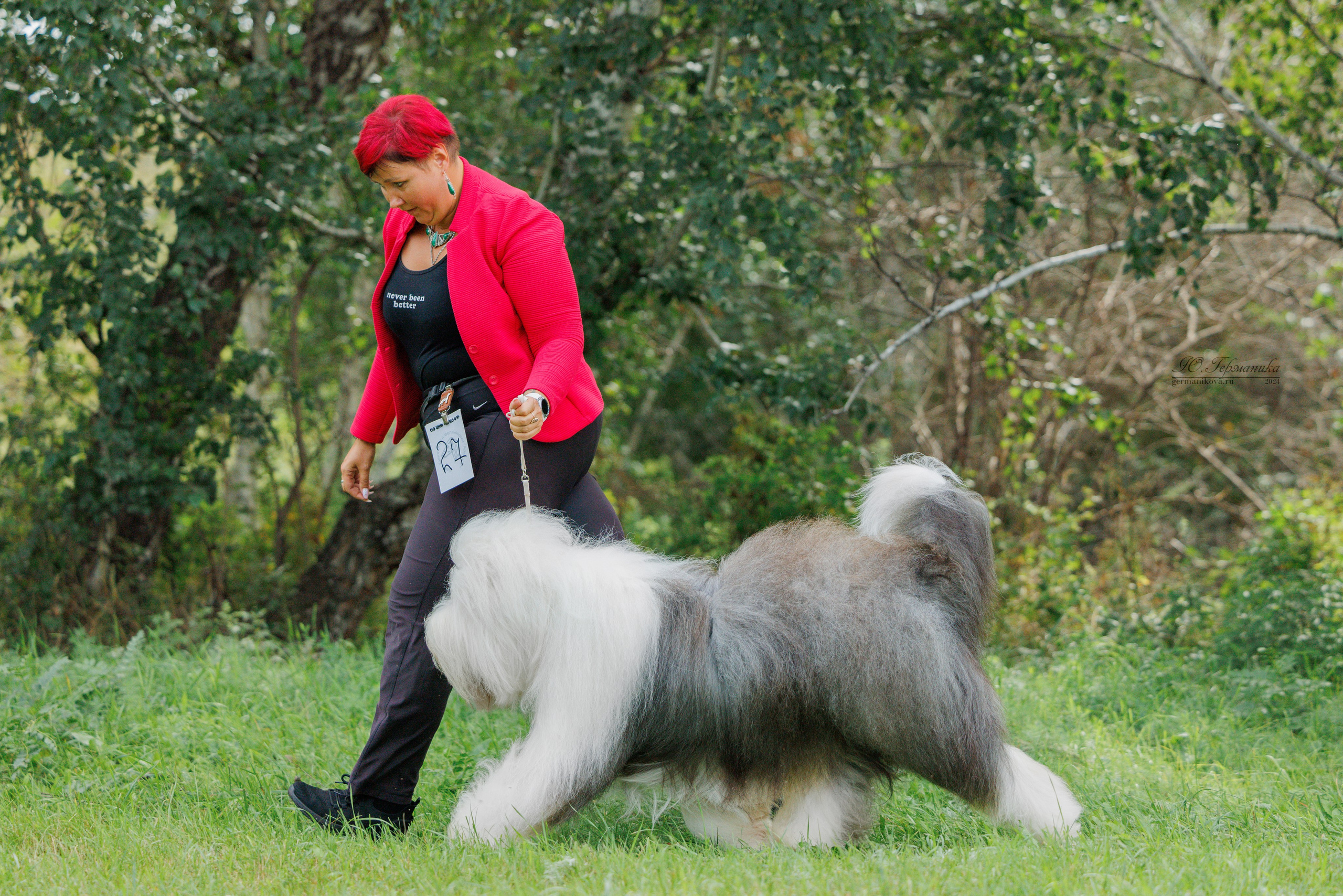 Астана 2хCACIB 17-18.08.2024. Фотограф-анималист Юлия Германика