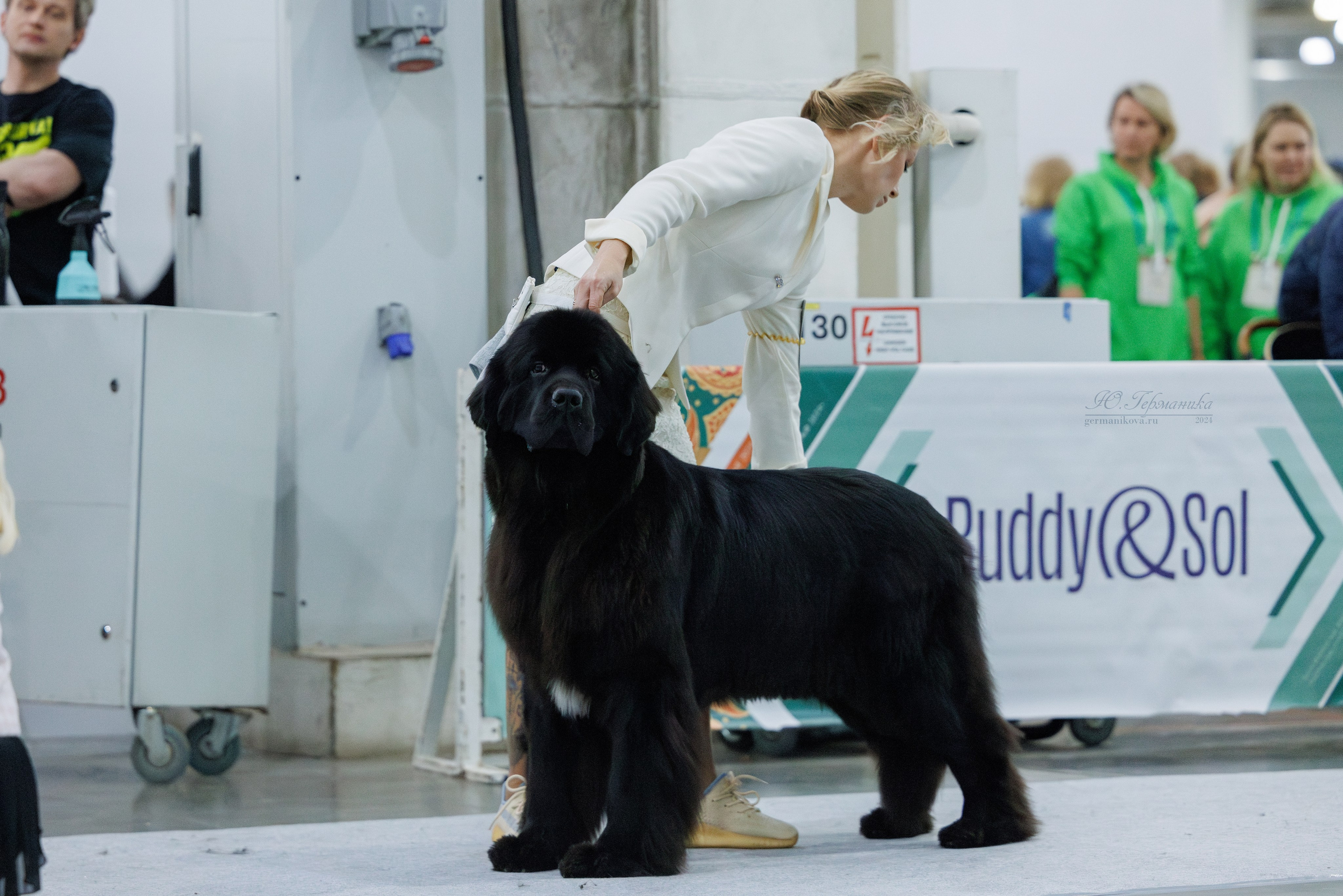 Евразия 16-17.11.2024. Фотограф-анималист Юлия Германика