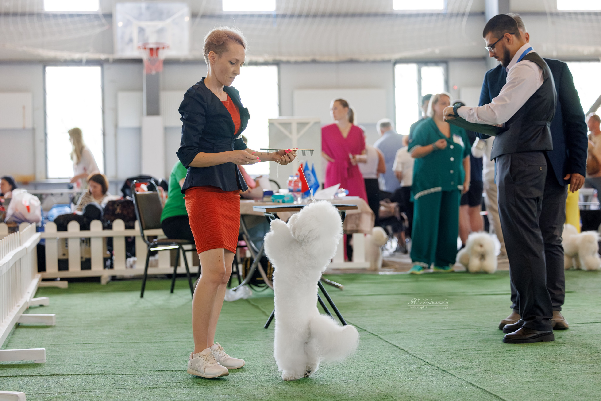 Батуми 3хCACIB 27-29.06.2025. Фотограф-анималист Юлия Германика