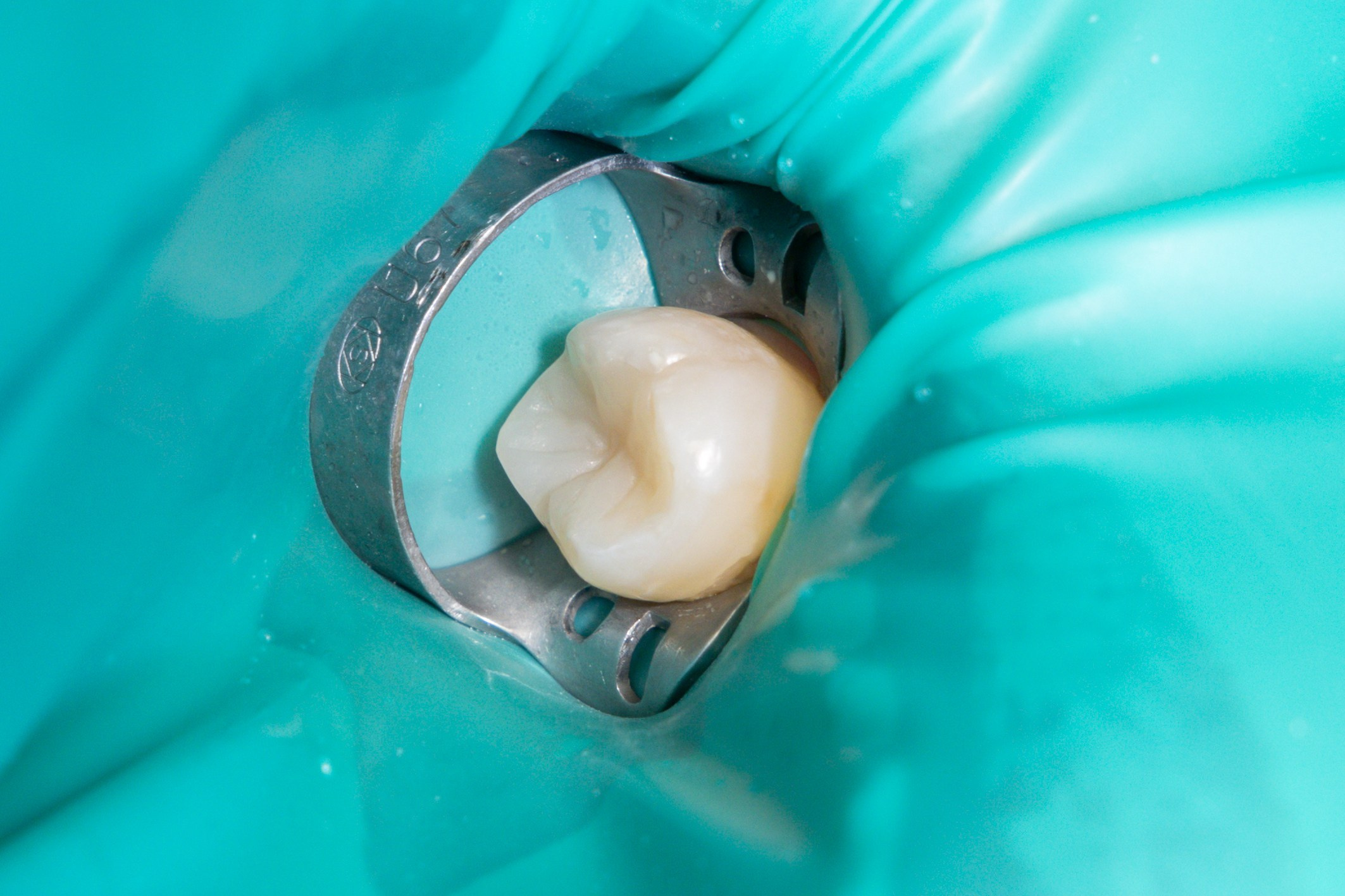 Стоматологическая клиника. Photomantis