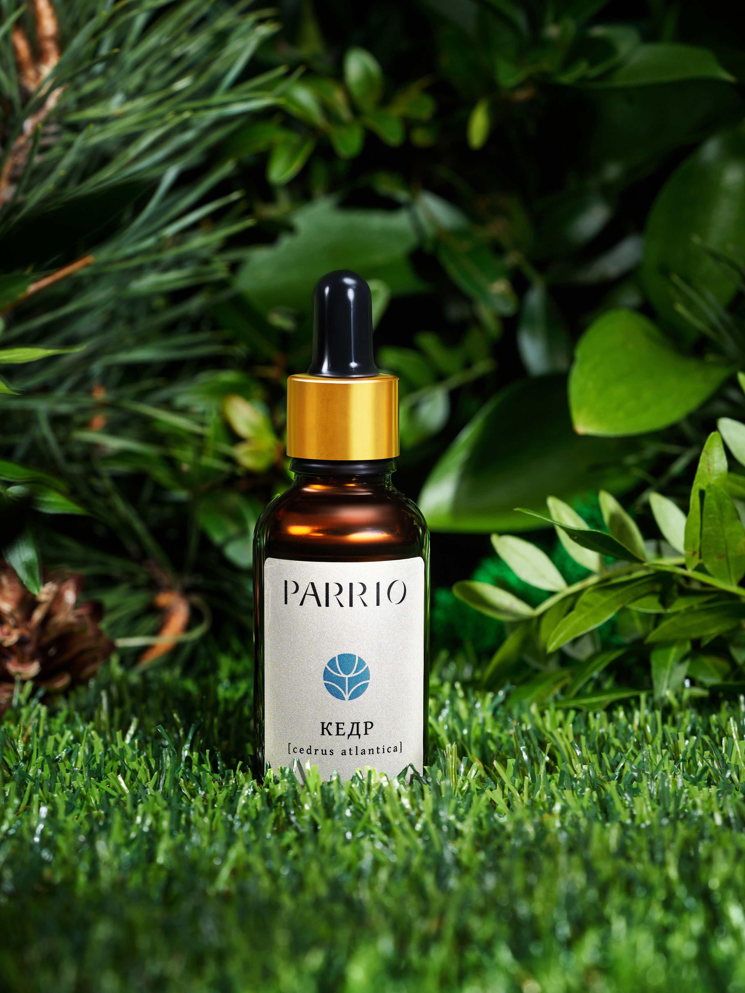 Рекламная фотография. Рекламная фотография. Обучение фотографии. Фотограф Жан Гаспарян