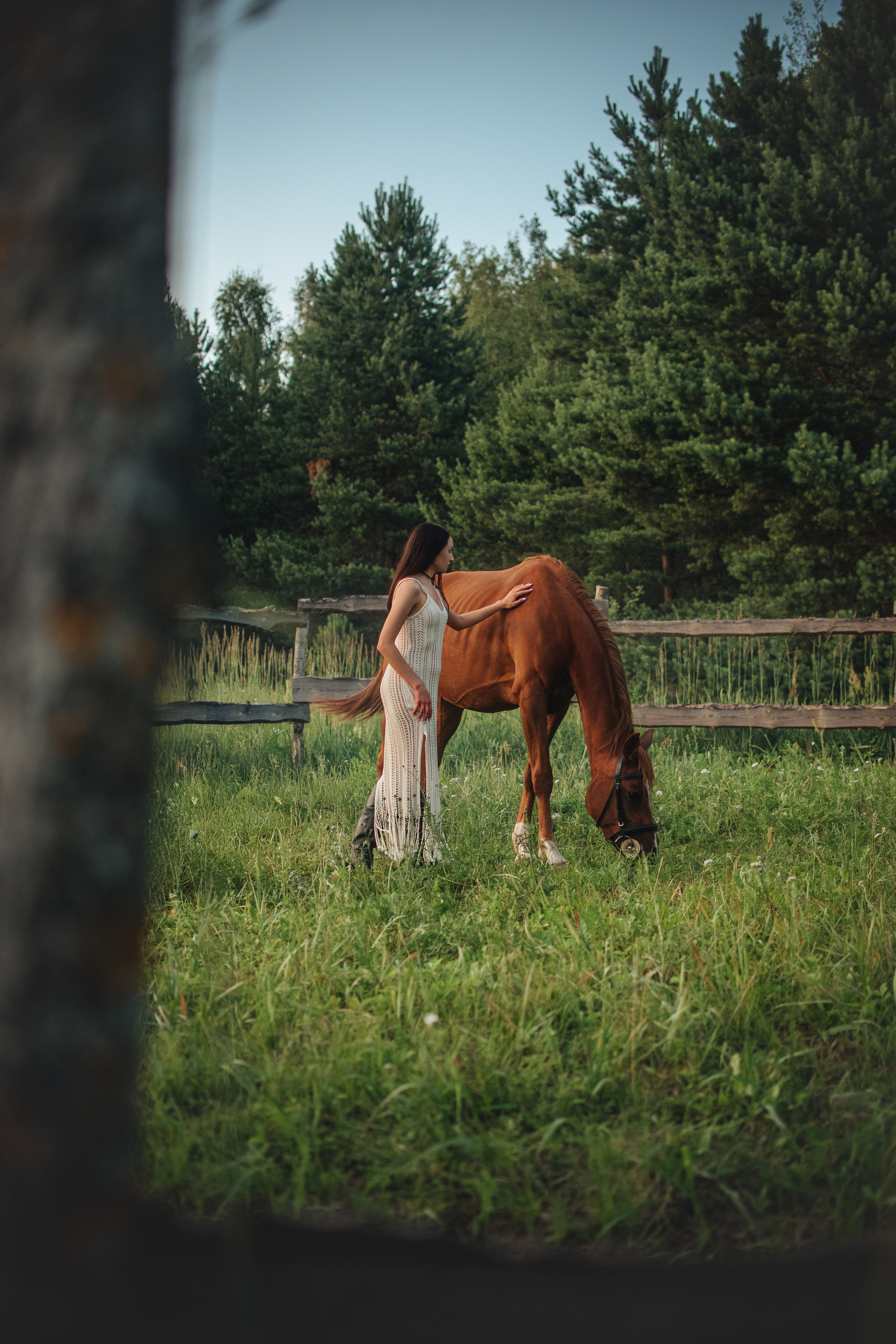 Ксюша и Майя — 05.07.2025. Фотограф — Анималист | Анна Абрамова