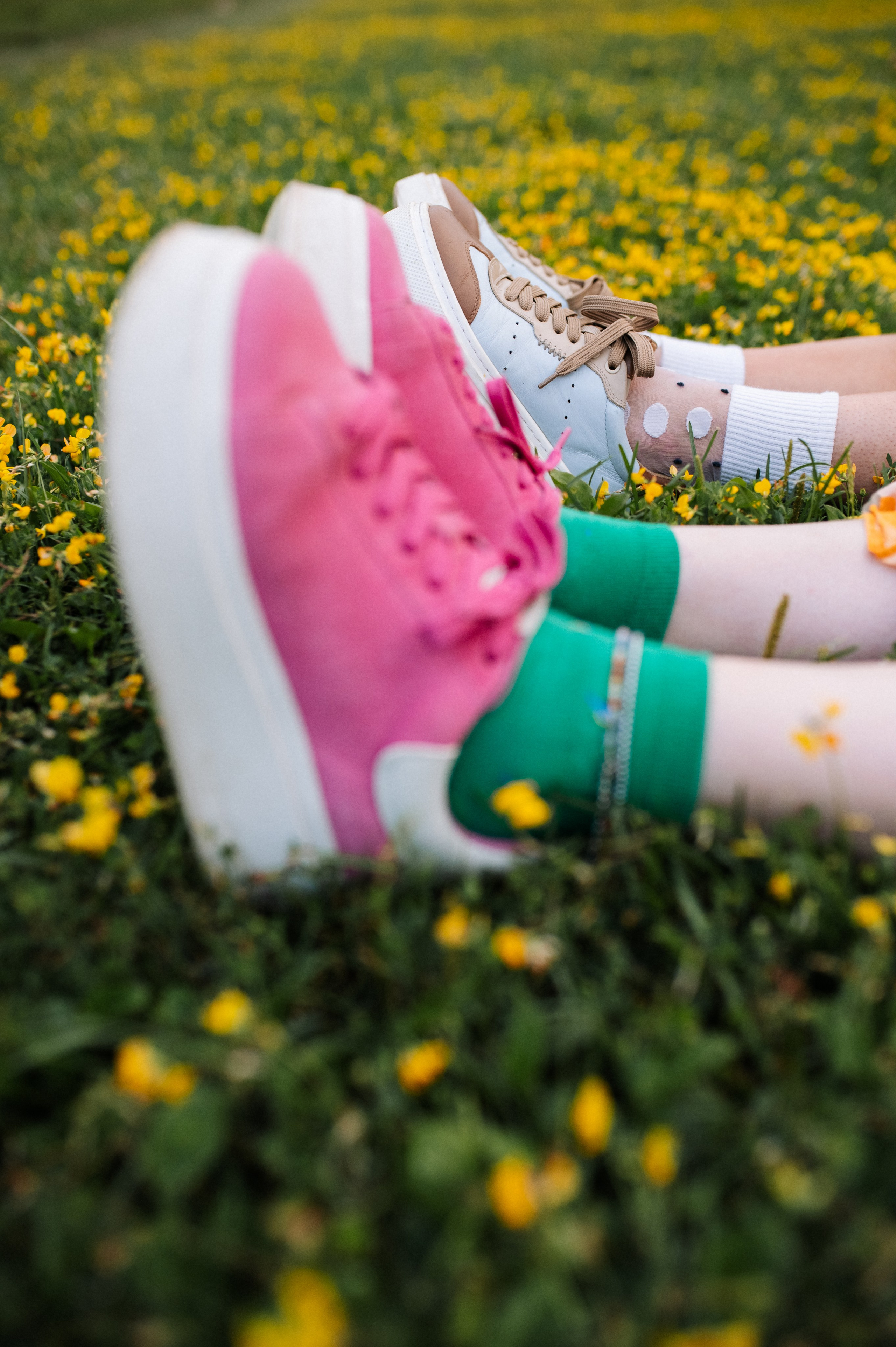 Хвост, смех и лучшие подруги. Фотограф анималист в Москве Ольга Агушева